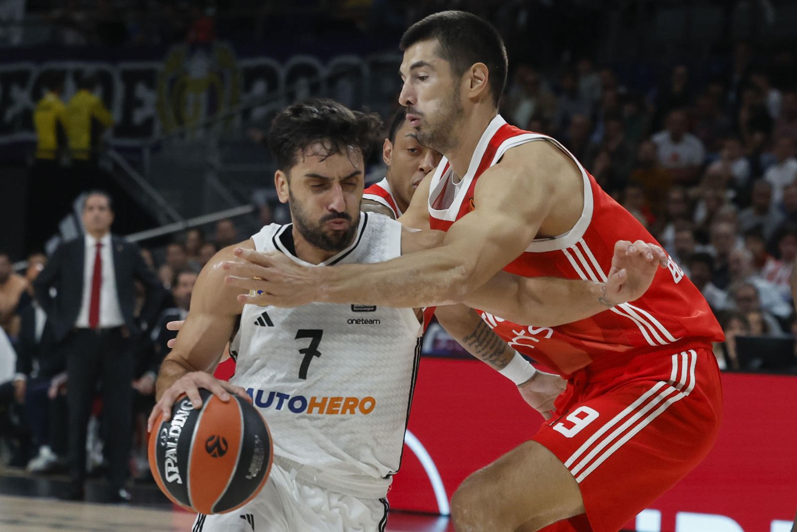 Campazzo ante Estrella Roja