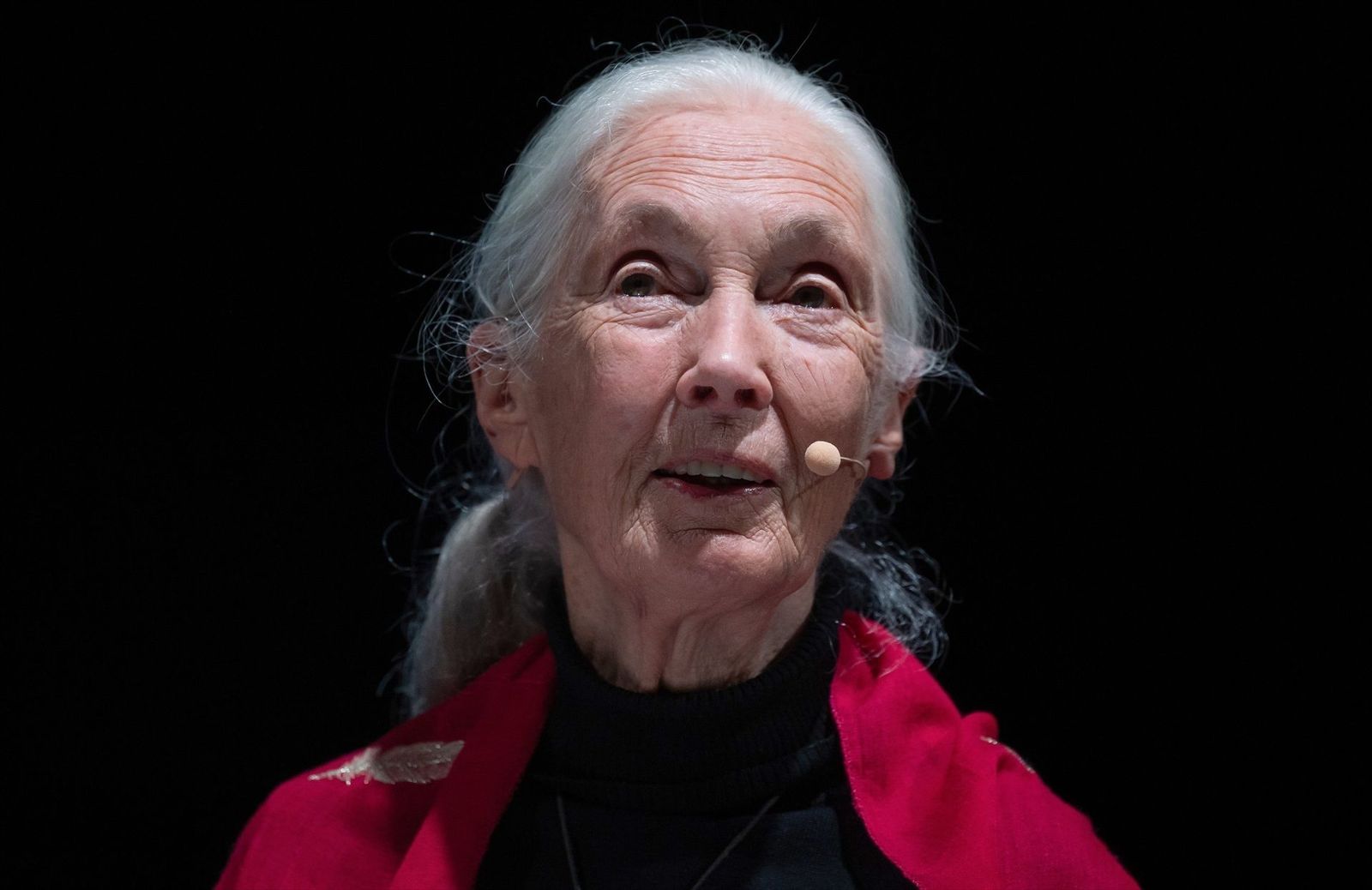 Jane Goodall afirma que para cuidar la salud hay que cuidar el planeta