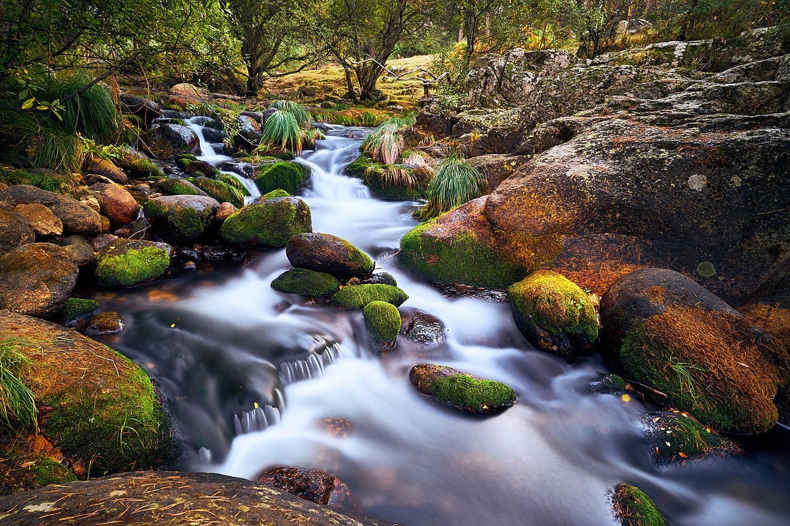 Rio Lozoya