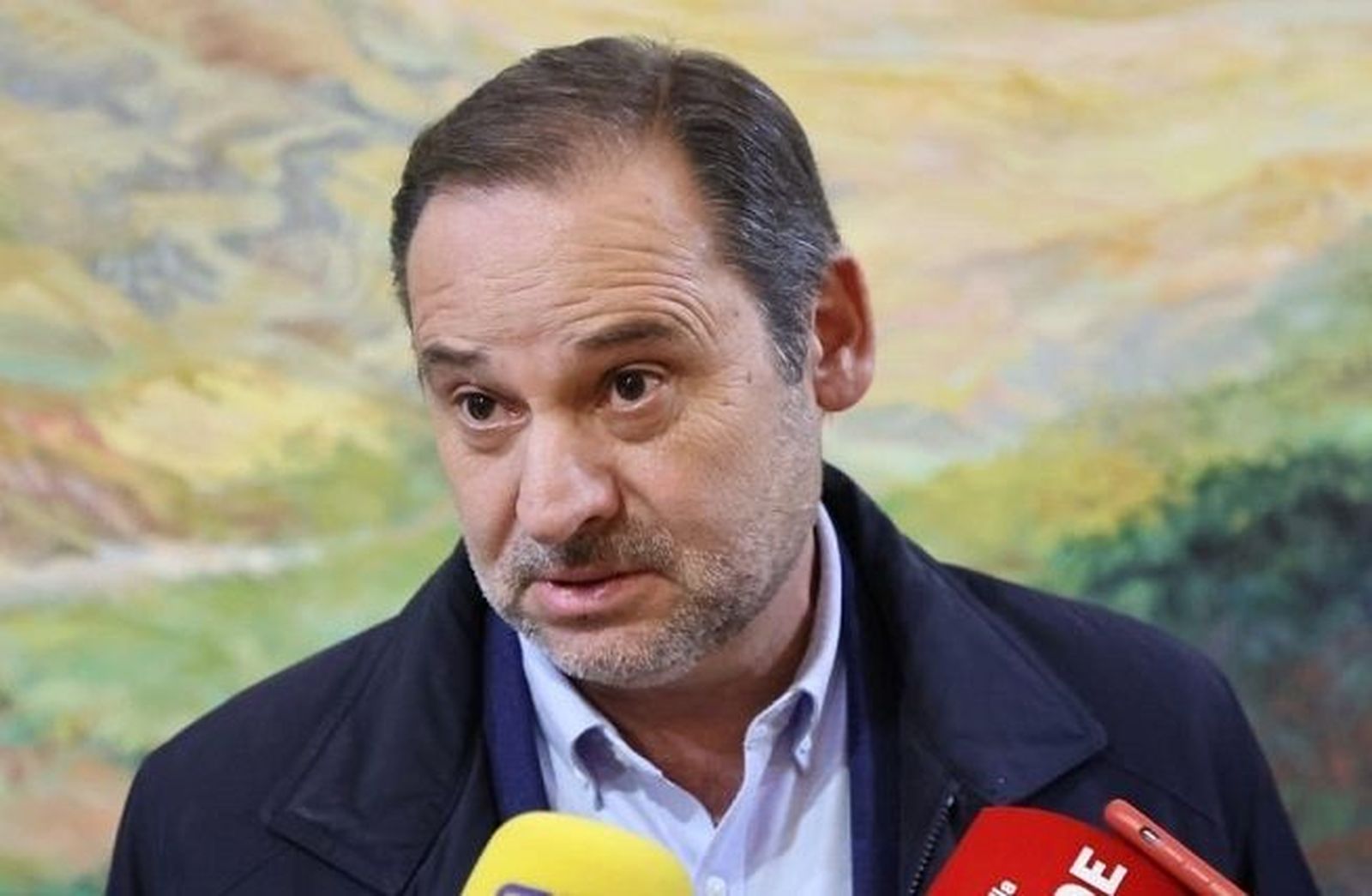Ábalos dice que votará a favor de la amnistía y mantendrá la disciplina de voto del grupo socialista