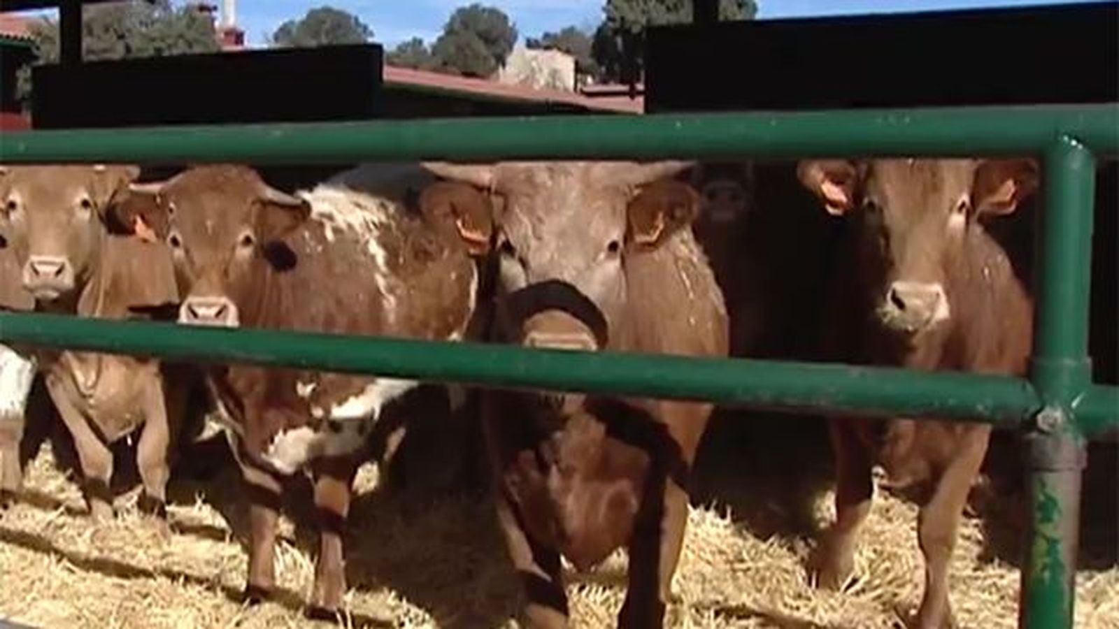 La Comunidad invierte más de 120 millones en ayudas europeas para el desarrollo rural