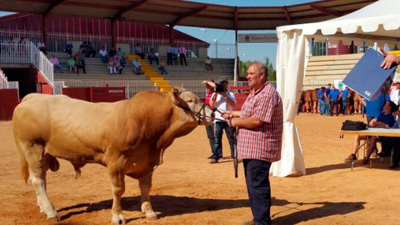 Subasta Nacional de Ganado Selecto en Colmenar Viejo