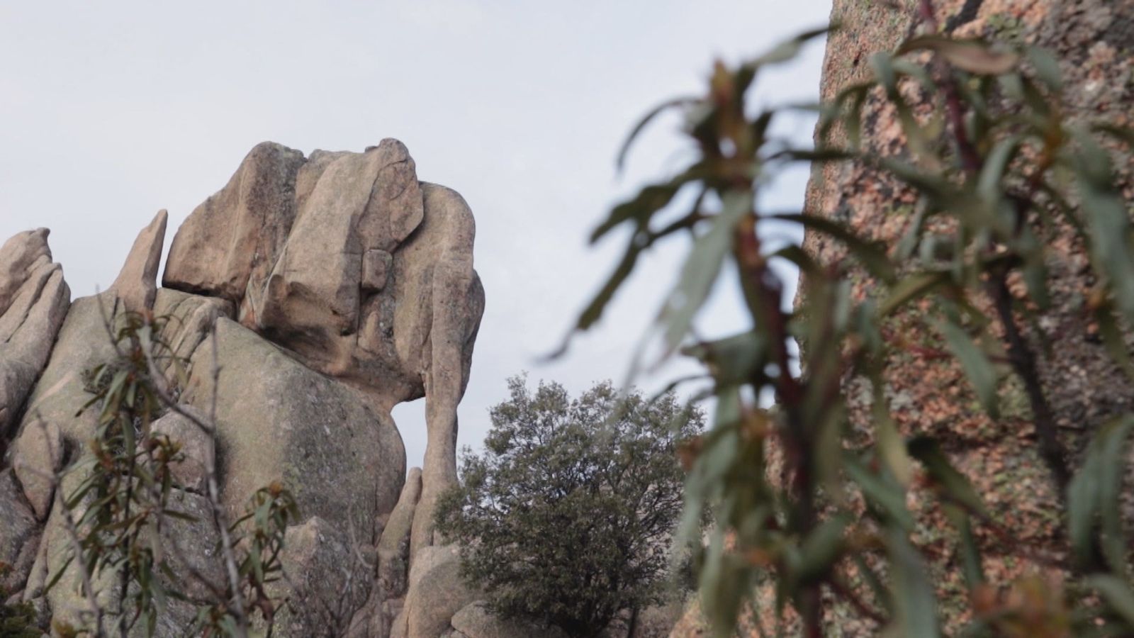 El Elefantito de La Pedriza