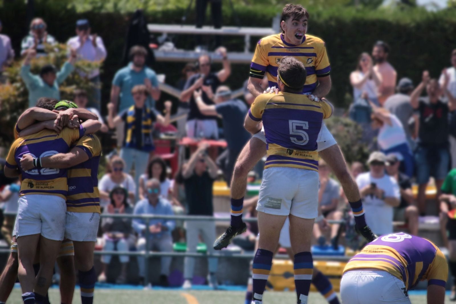 Pozuelo Rugby Unión