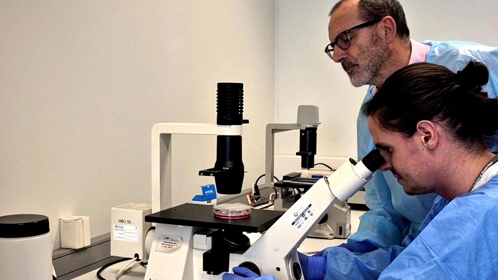 Investigadores observan con microscopio una muestra dentro de una placa de Petri