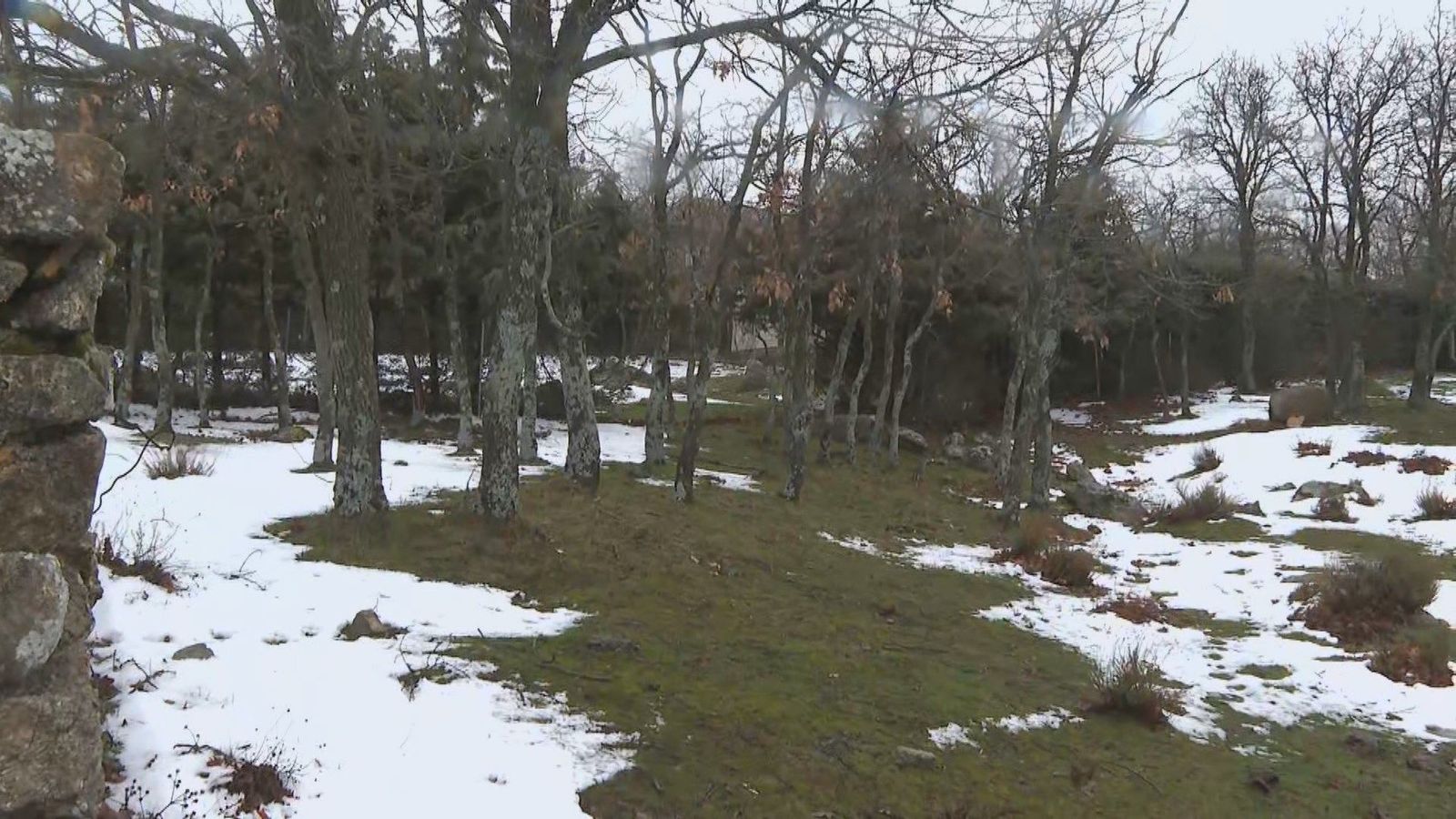 La lluvia ayuda a eliminar la nieve acumulada en los pueblos de la Sierra de Madrid