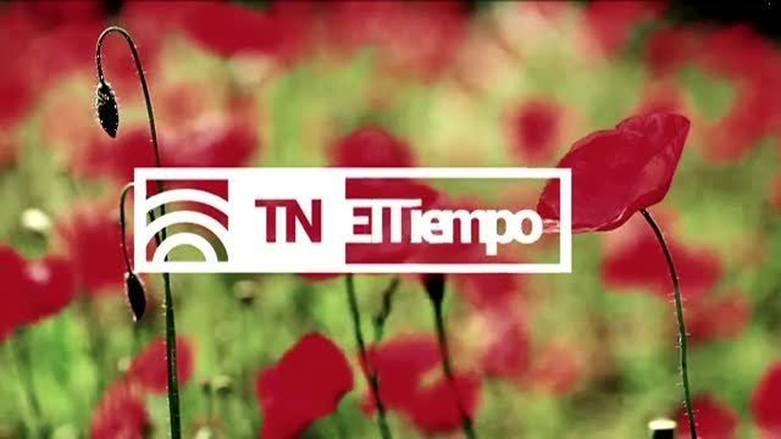El Tiempo 2 22.02.2018