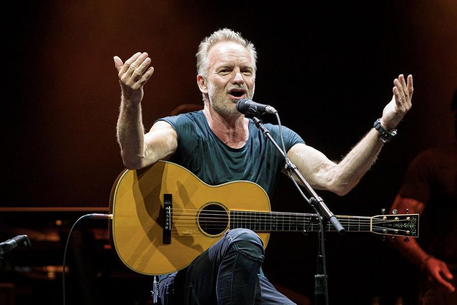 El cantante y compositor británico Sting durante su actuación en el Festival Cap Roig
