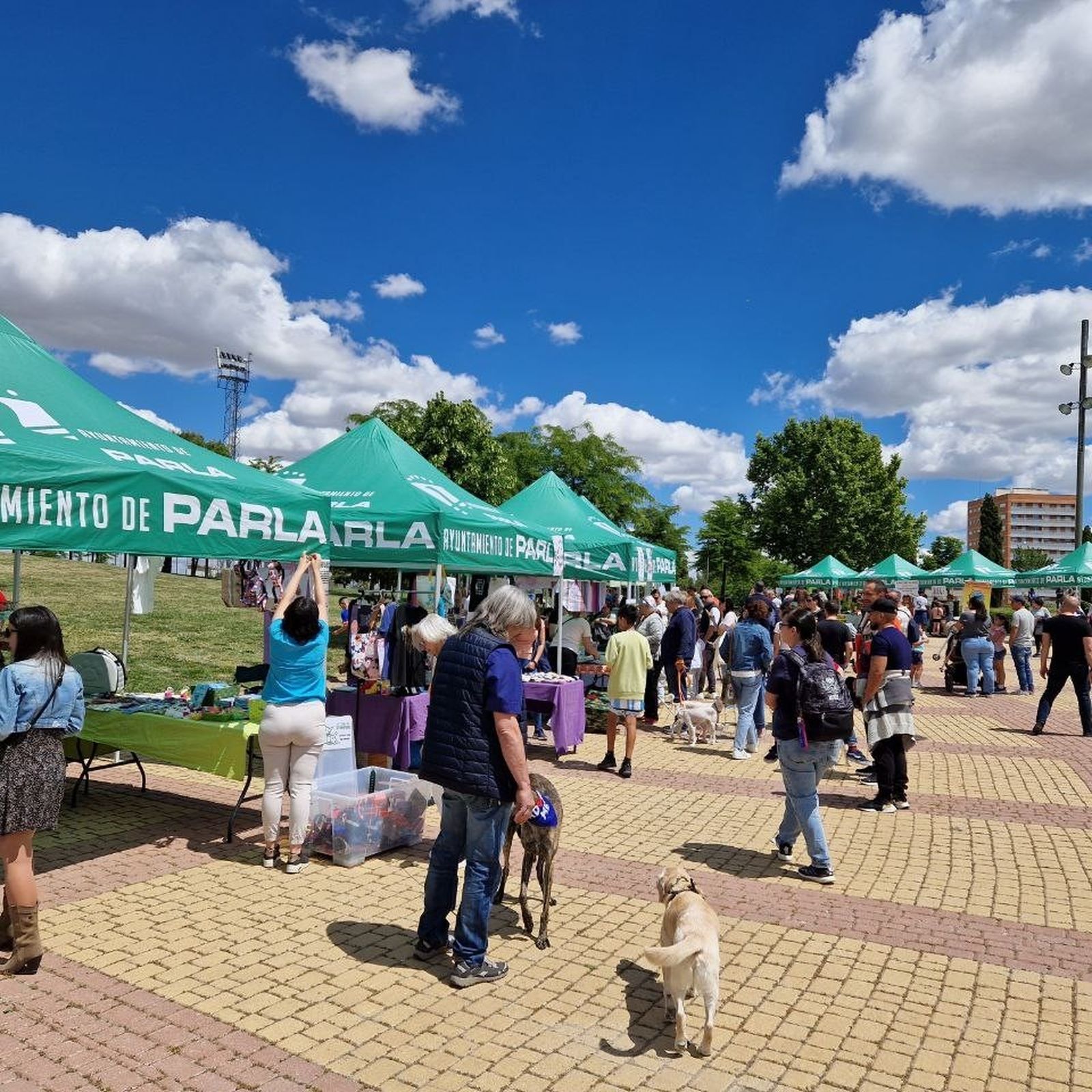 Feria de adopción de mascotas en Parla
