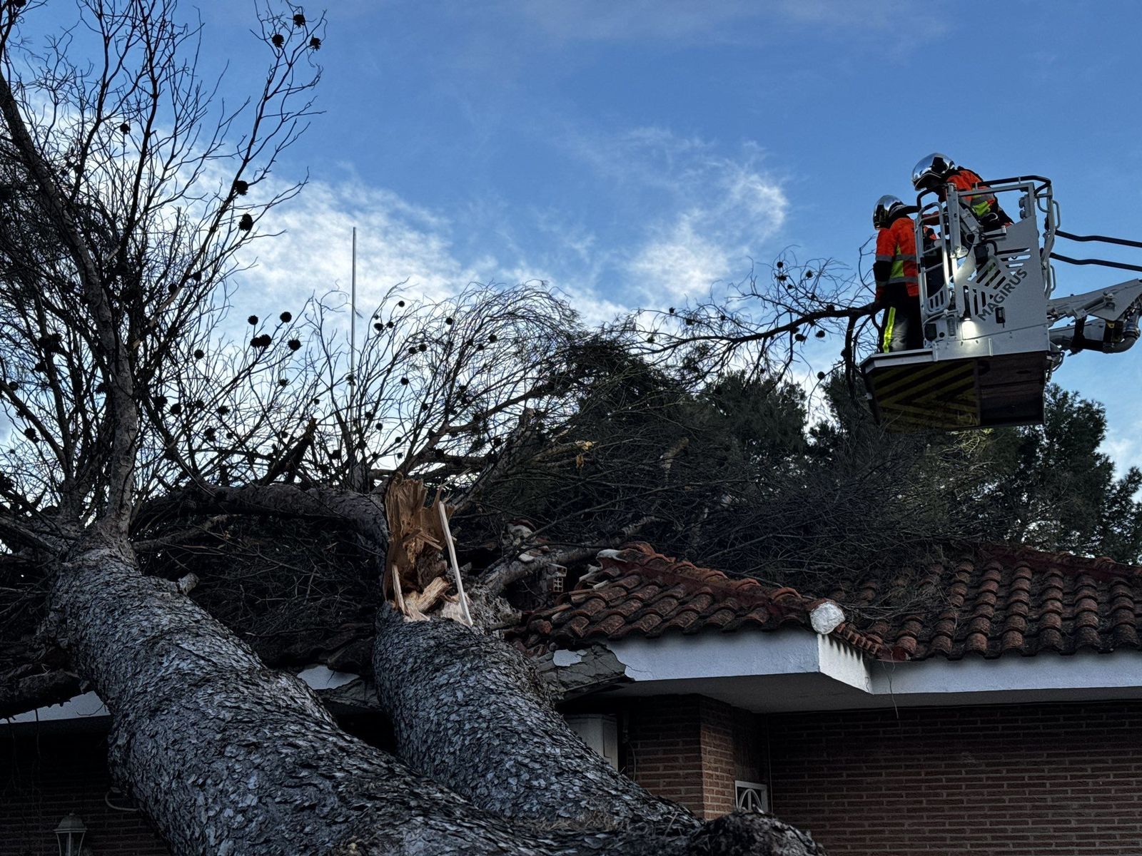 El tejado de una casa de Villalbilla, aplastado por la caída de un árbol a causa del viento