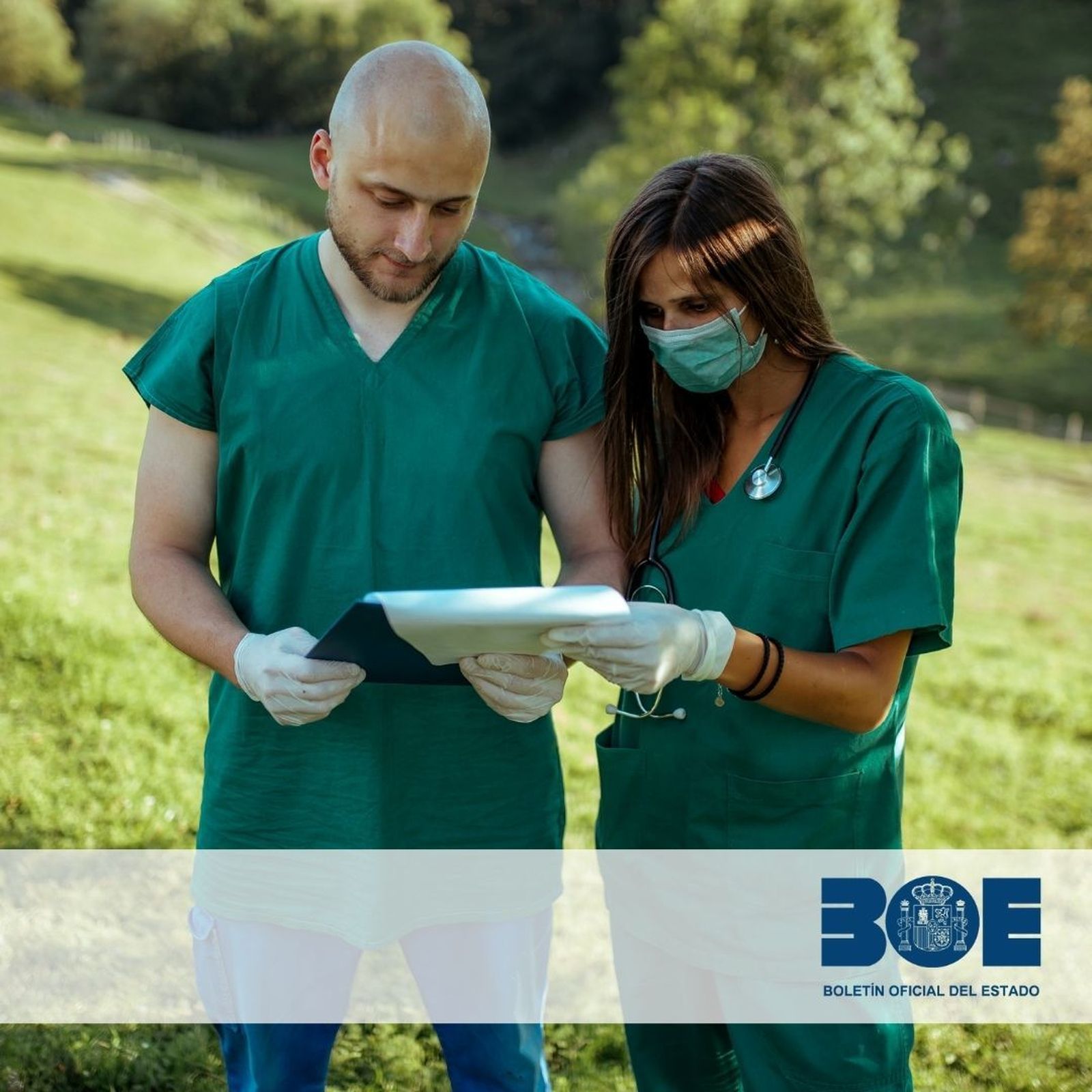 Oposiciones: 67 plazas para el Cuerpo Nacional de Veterinarios, una salida profesional estable y poco conocida