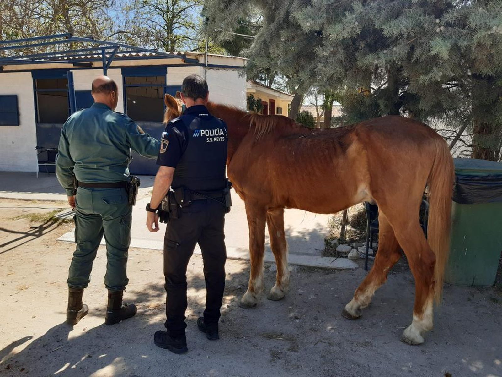 Agentes del SEPRONA de la Guardia Civil y la Policía Local en la hípica de San Sebastián de los Reyes