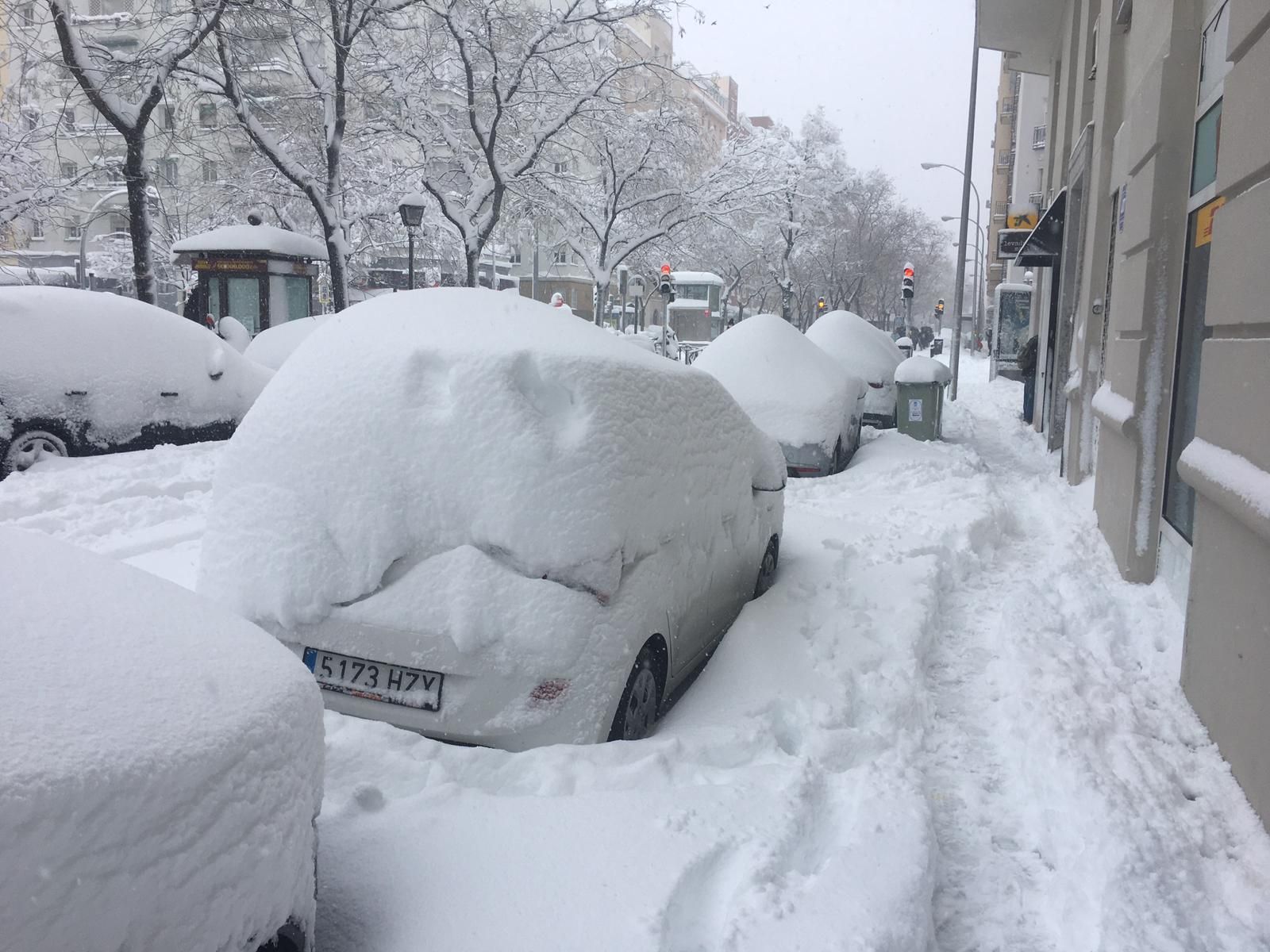 Coches bajo la nieve caida
