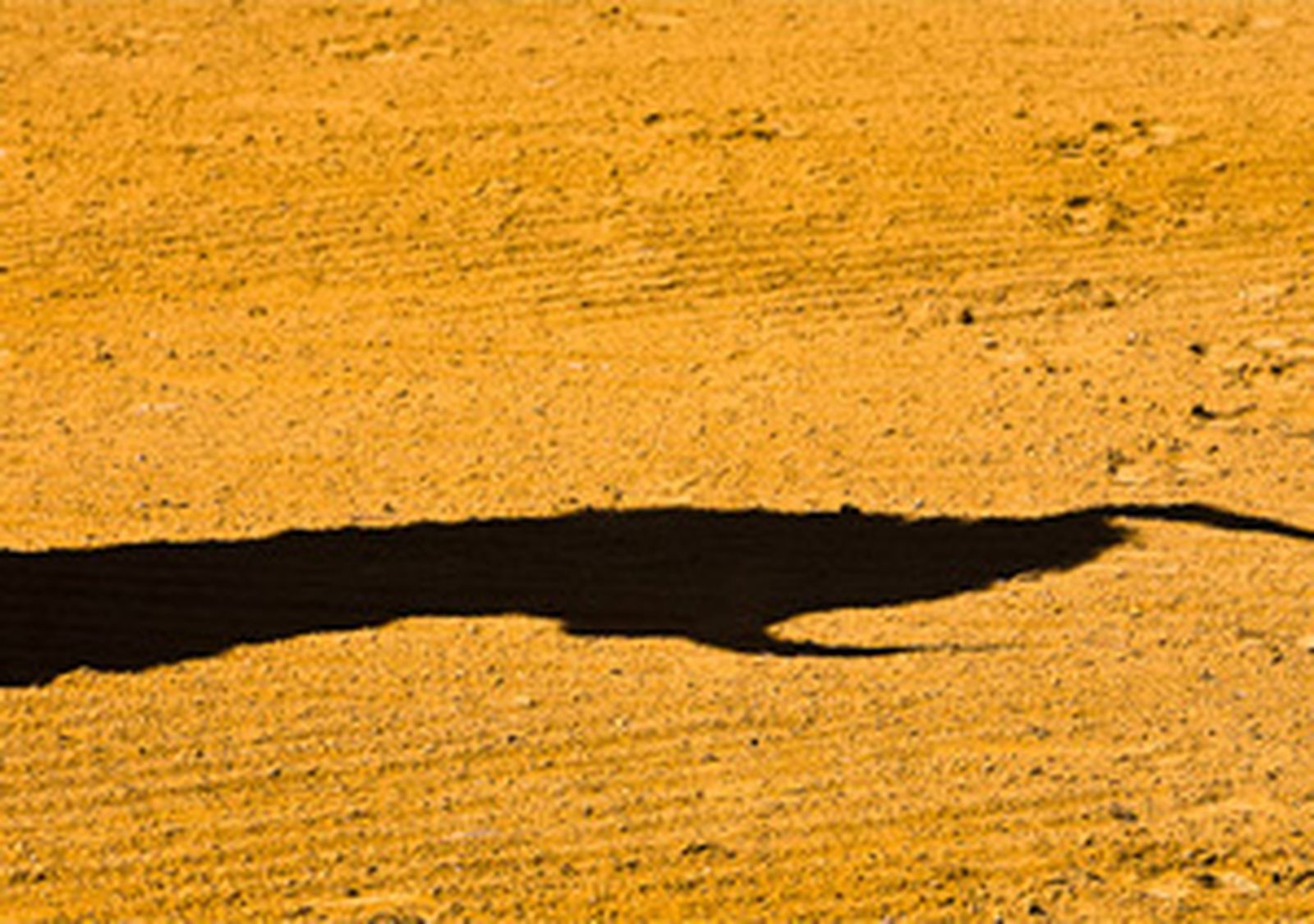 foto_toros