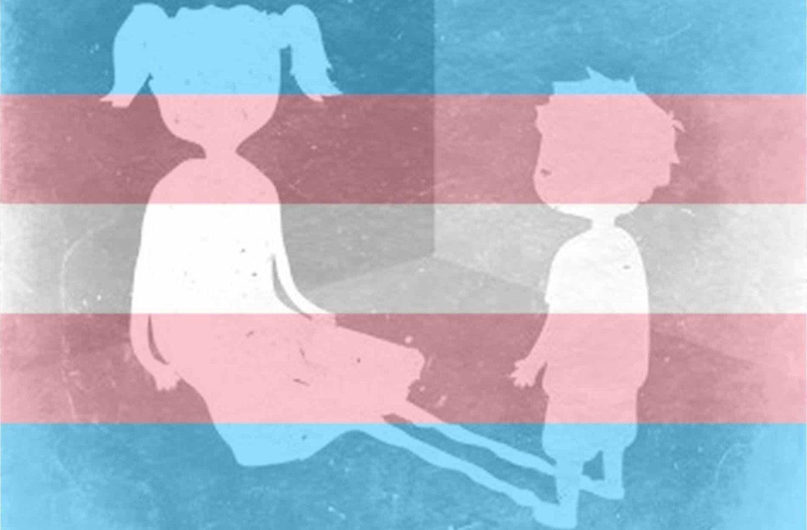 Episodio 6. Gatas trans