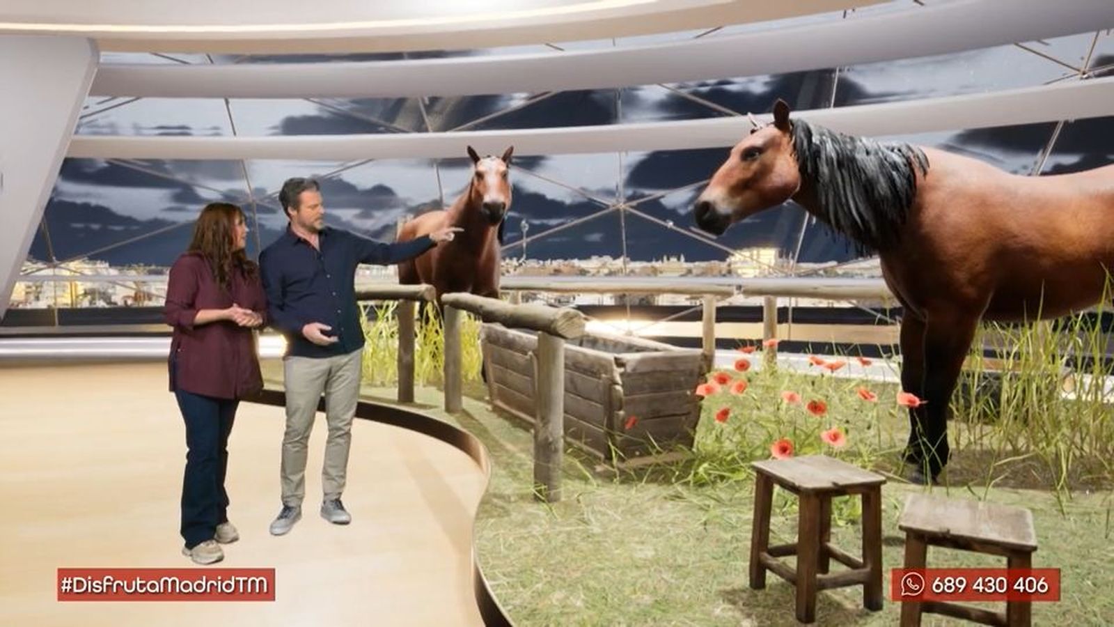 Un oficio en contacto con la naturaleza: herrador de caballos