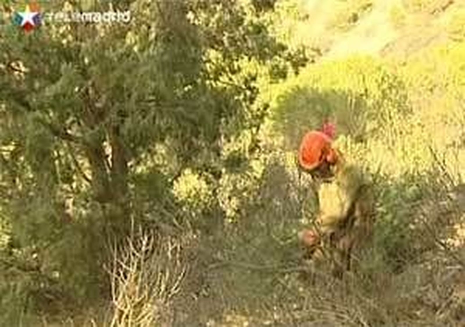 La Comunidad activa los medios contra incendios ante el riesgo de fuego