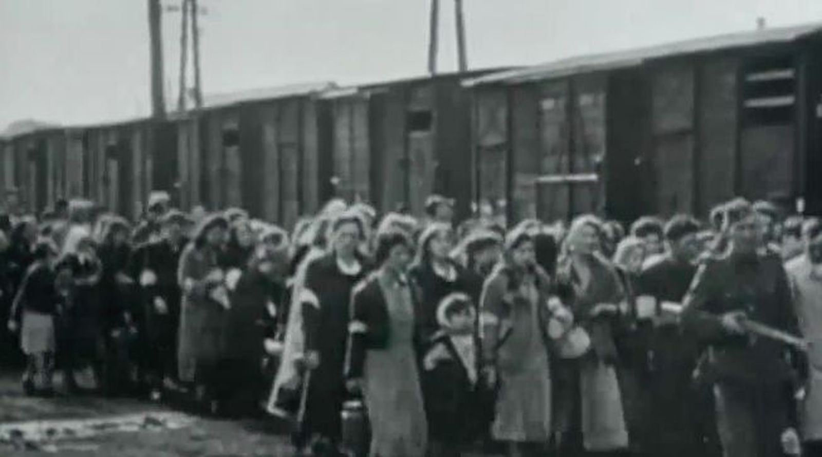 Más de 5.000 españoles perdieron la vida en el campo de concentración de Mauthausen