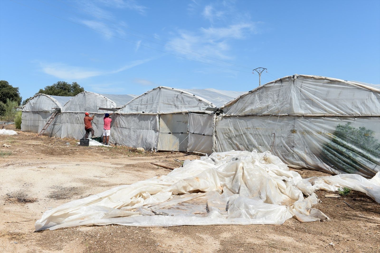 Invernaderos para la producción agrícola