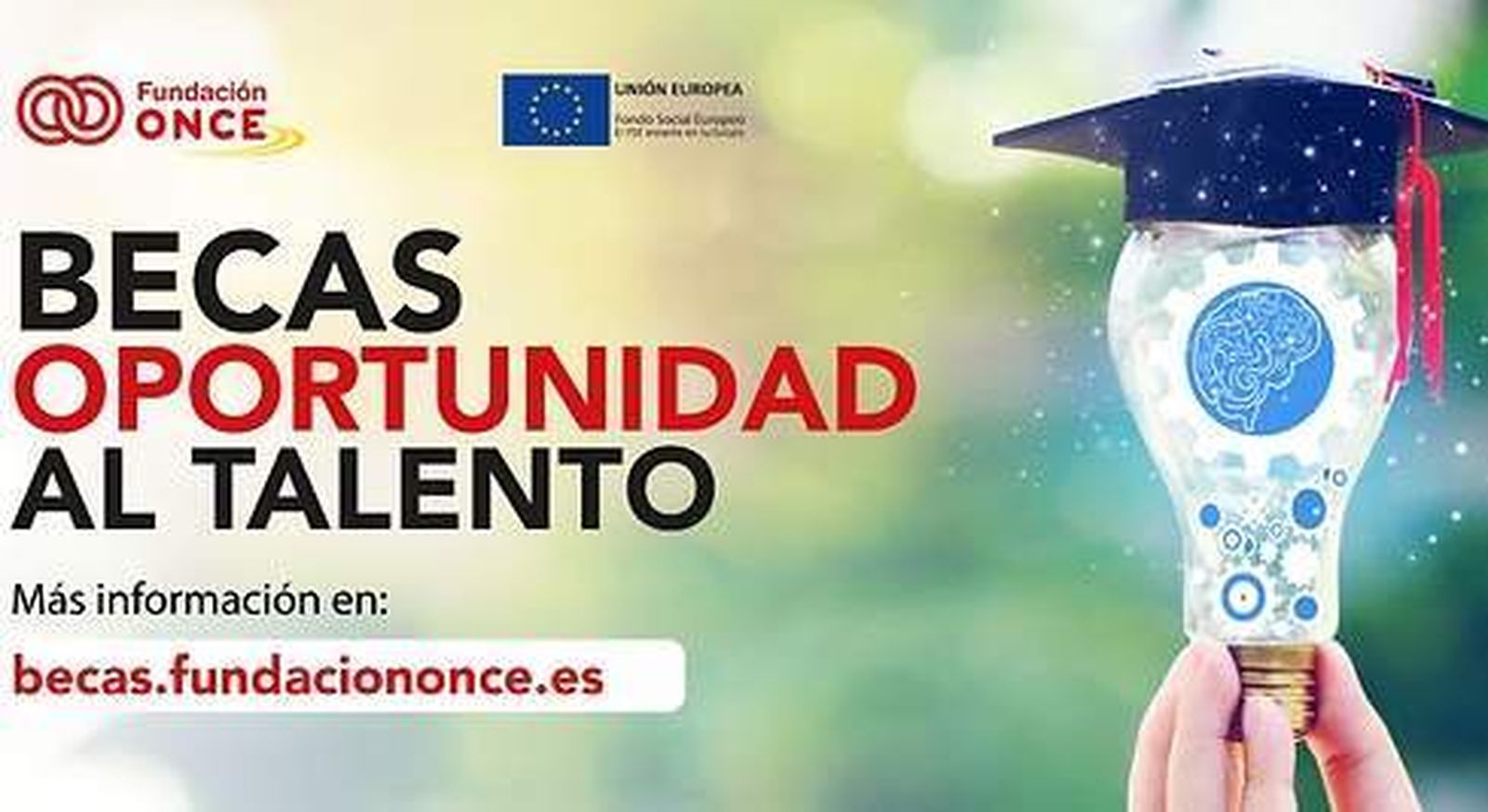Ya te puedes inscribir en las becas Oportunidad al Talento de Fundación Once