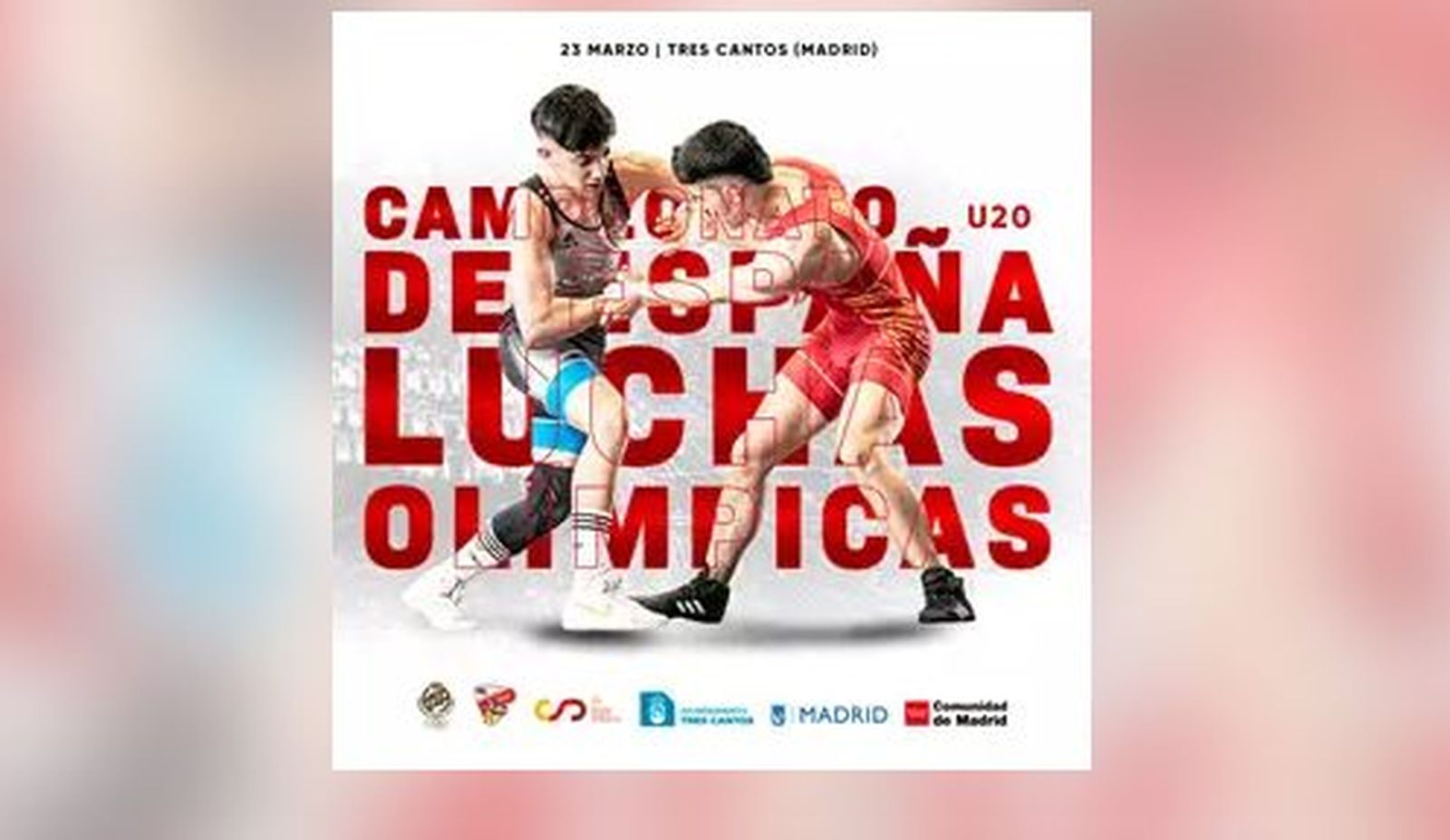 Campeonato de España de Sambo