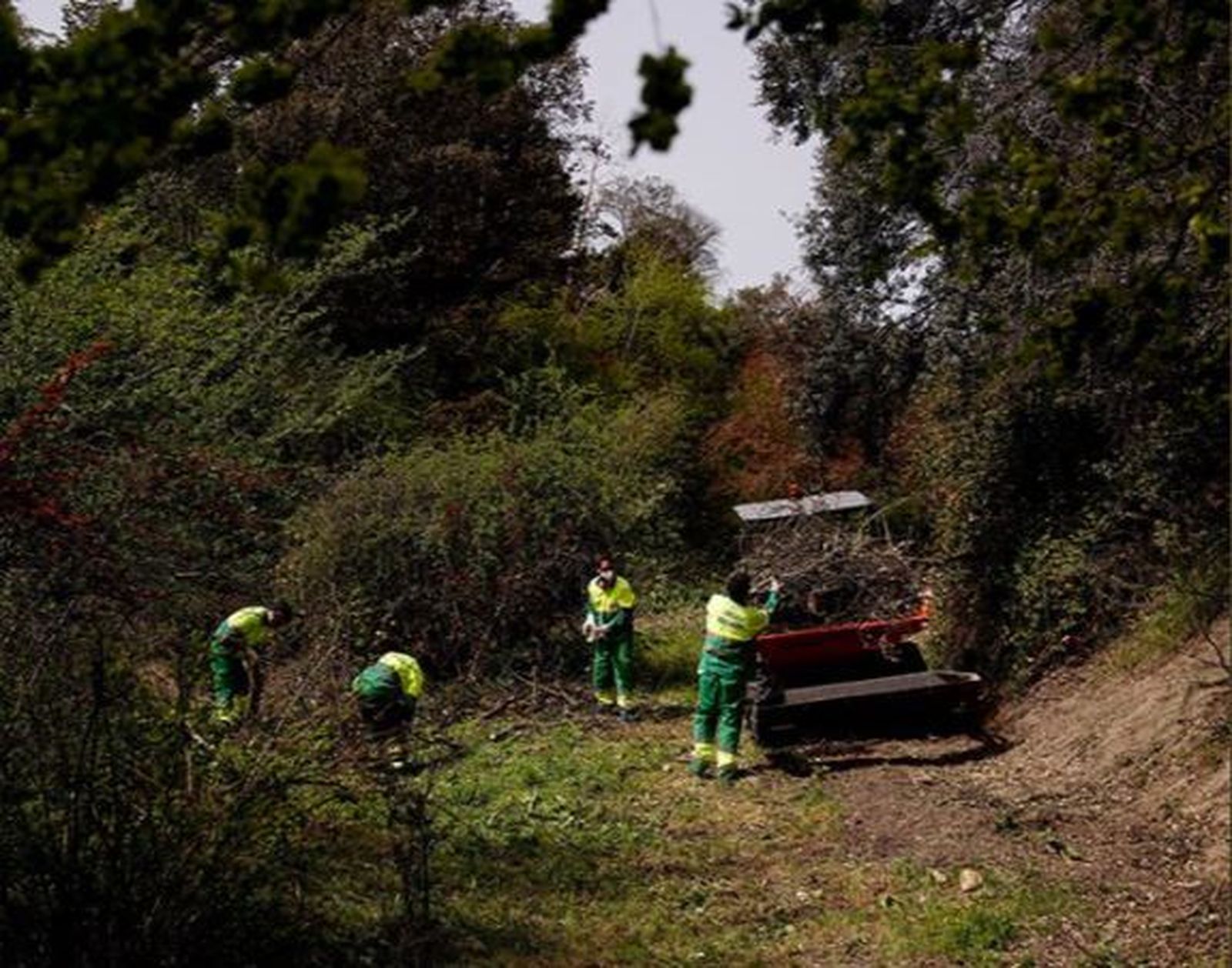 Las labores de mantenimiento y limpieza de  los barrancos naturales de Las Rozas se prolongará hasta finales de junio