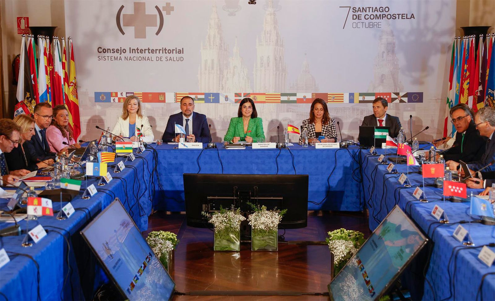 Pleno del Consejo Interterritorial del Sistema Nacional de Salud