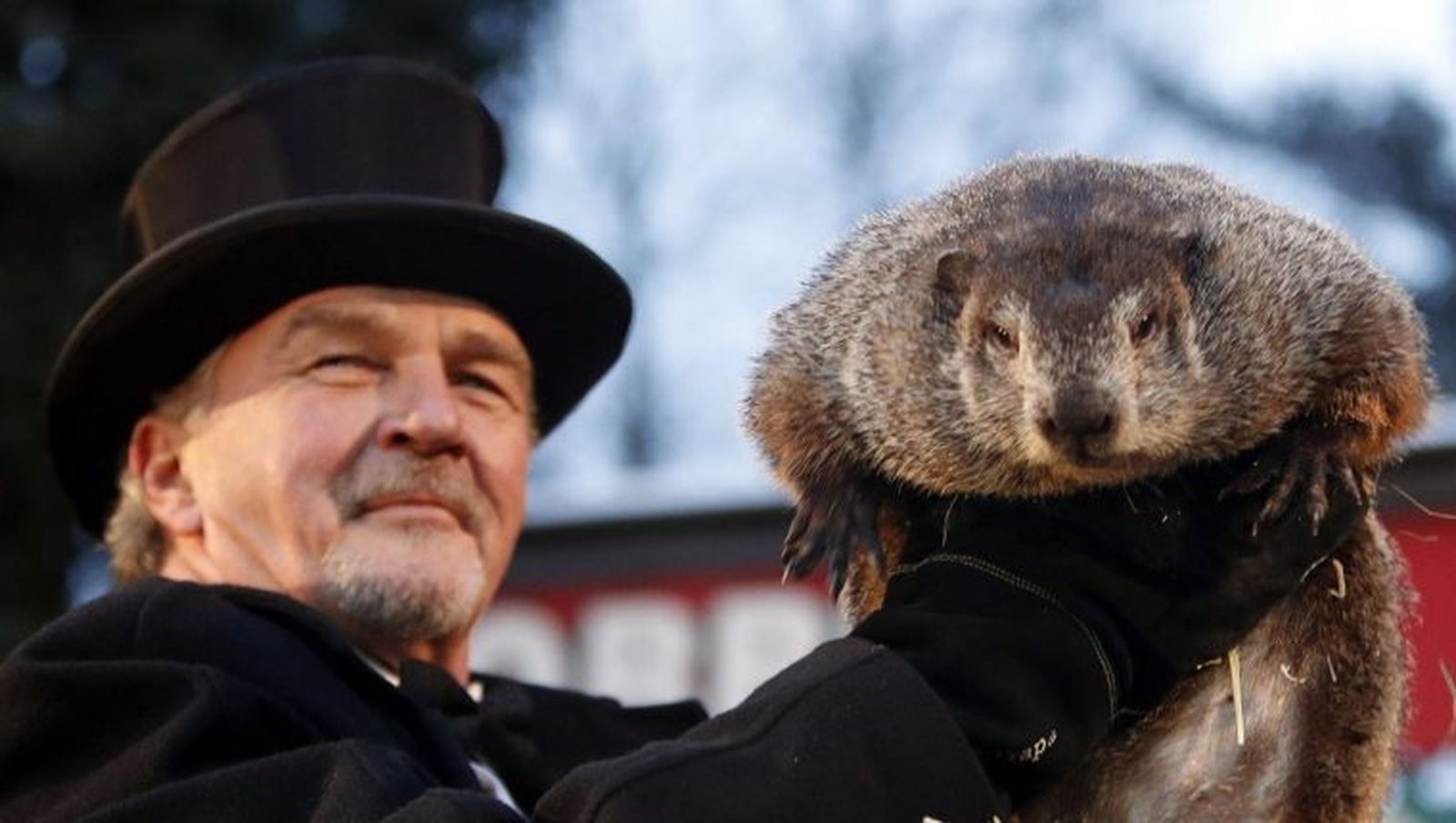La marmota Phil predice que la primavera llegará pronto a Estados Unidos