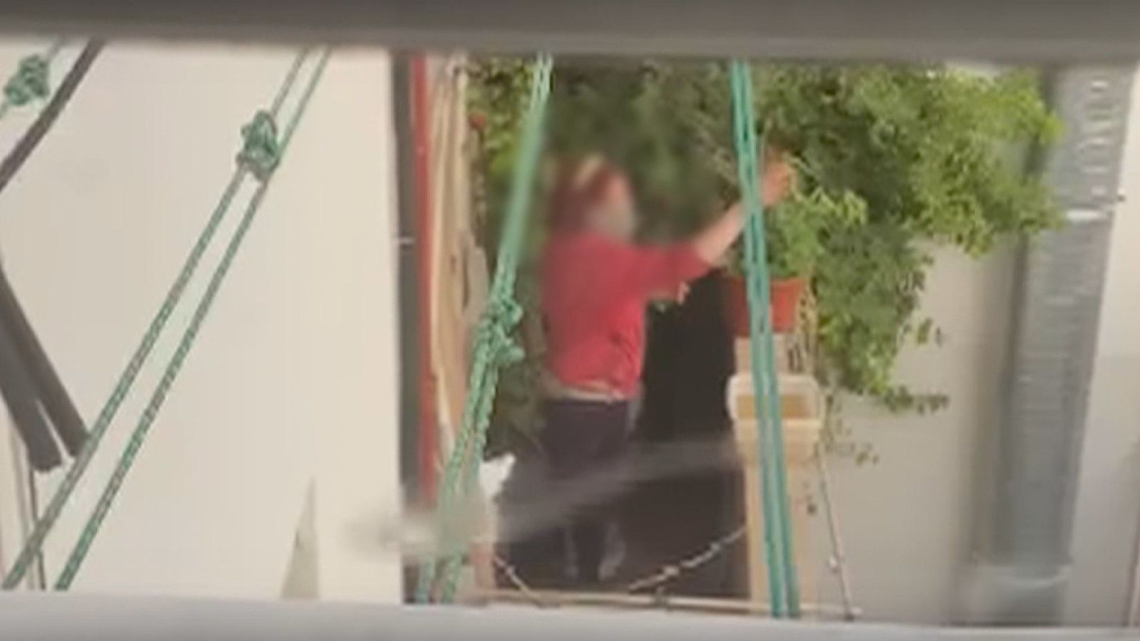 La vecina que cría ratas en su balcón causa pavor en el Paseo de Extremadura