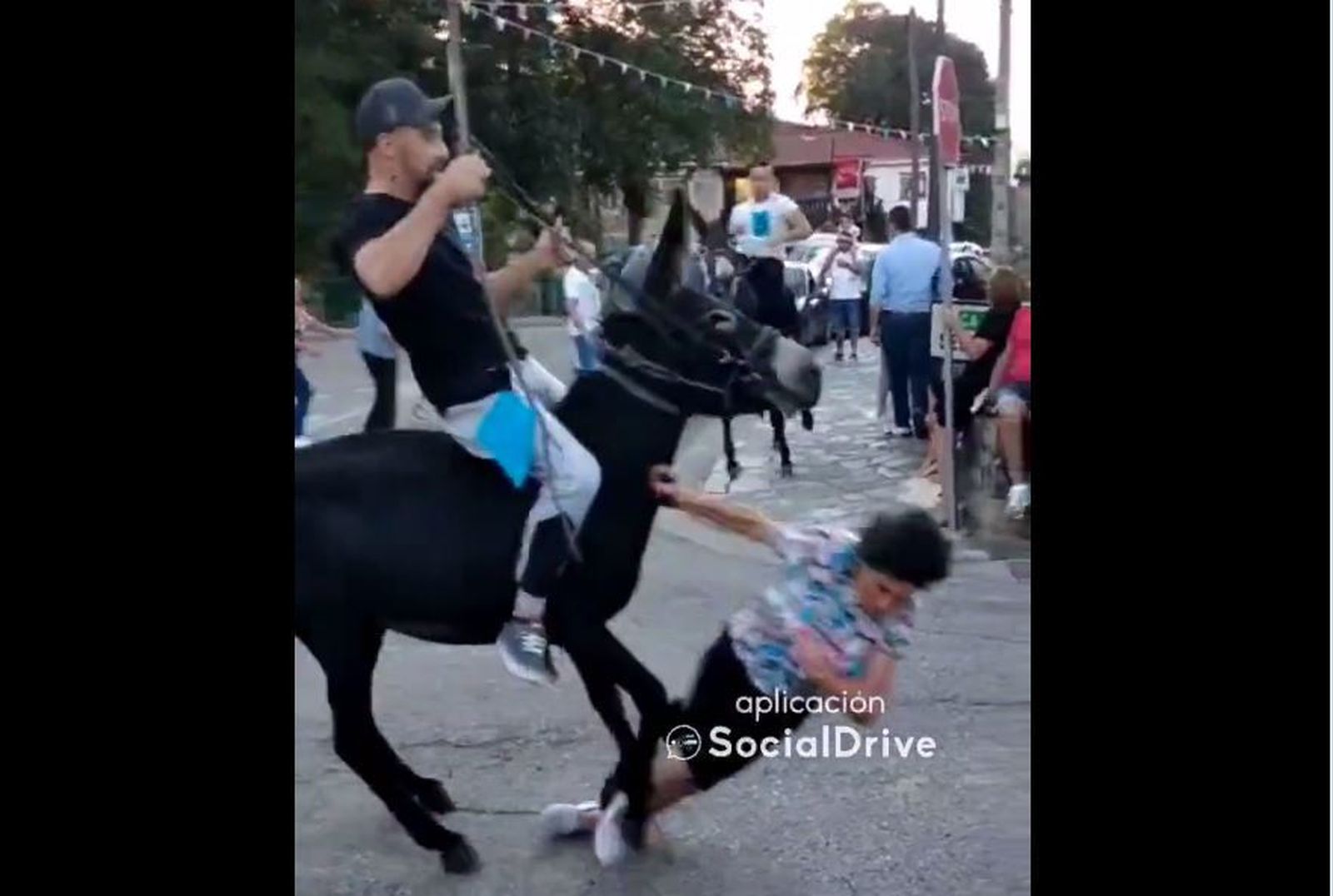 Carrera de burros en Vega de Pas, Cantabria