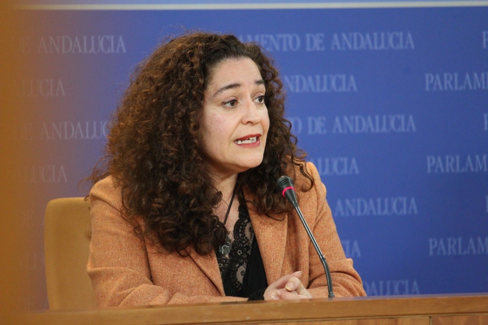 Inmaculada Nieto (IU)