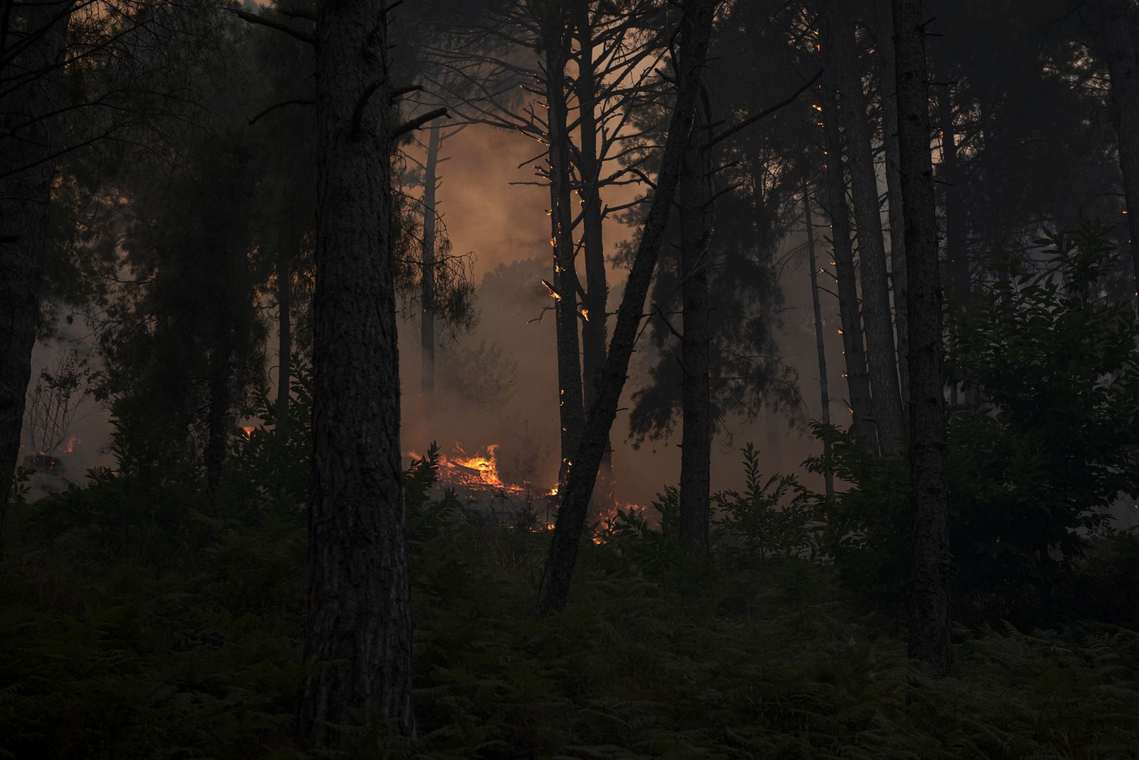 España eleva a 172.400 hectáreas de superficie quemada por los incendios