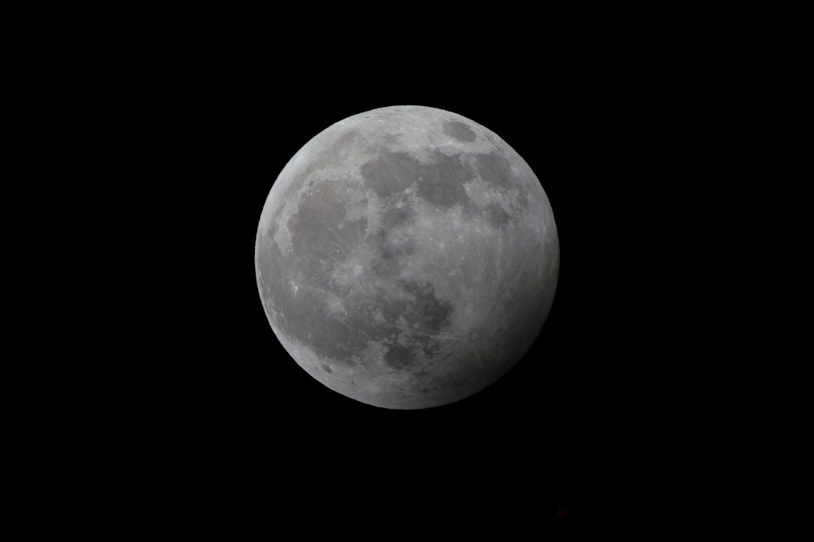 La luna del lobo 2024: ¿Cuándo la podemos ver?