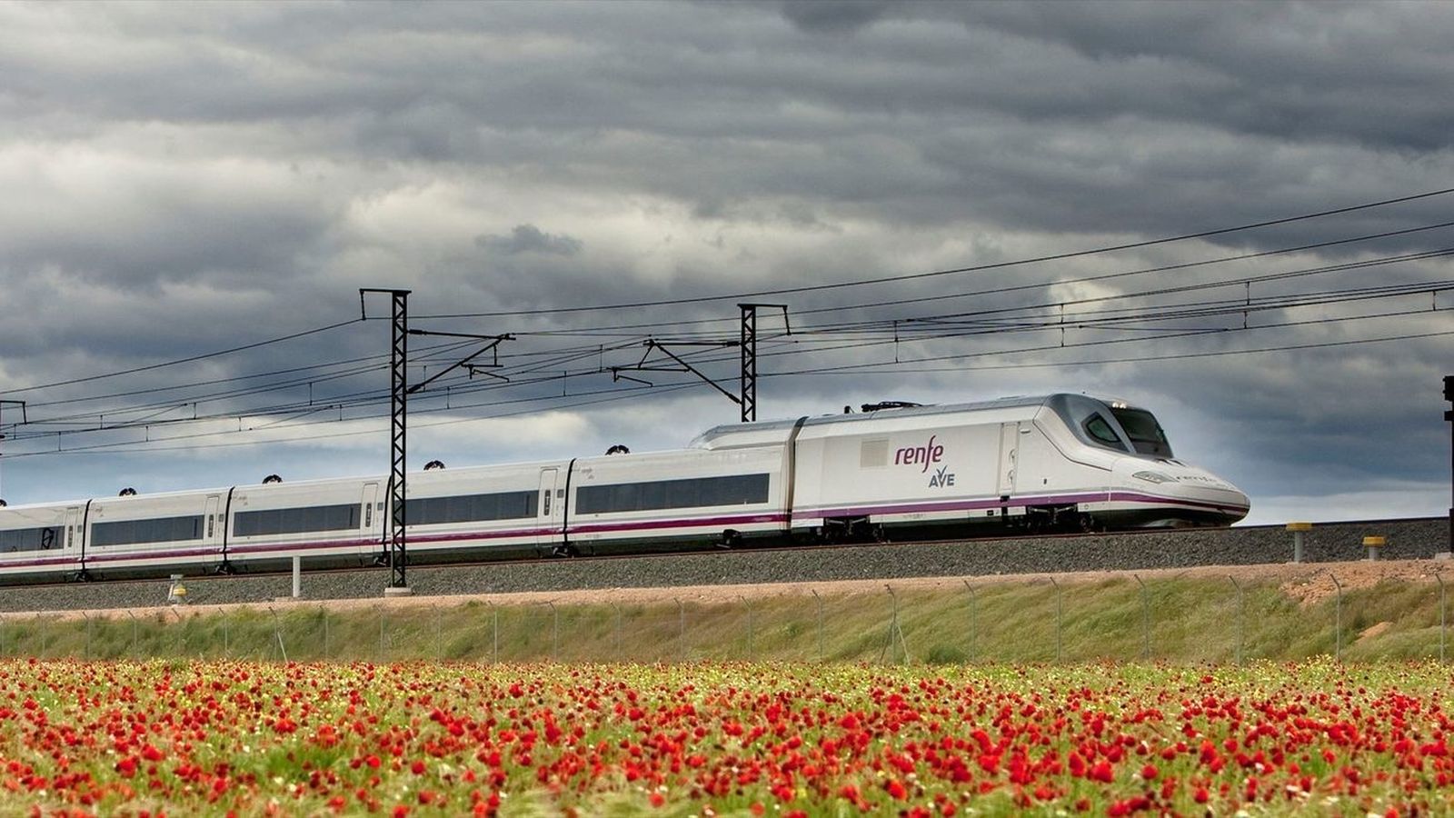 Tren
