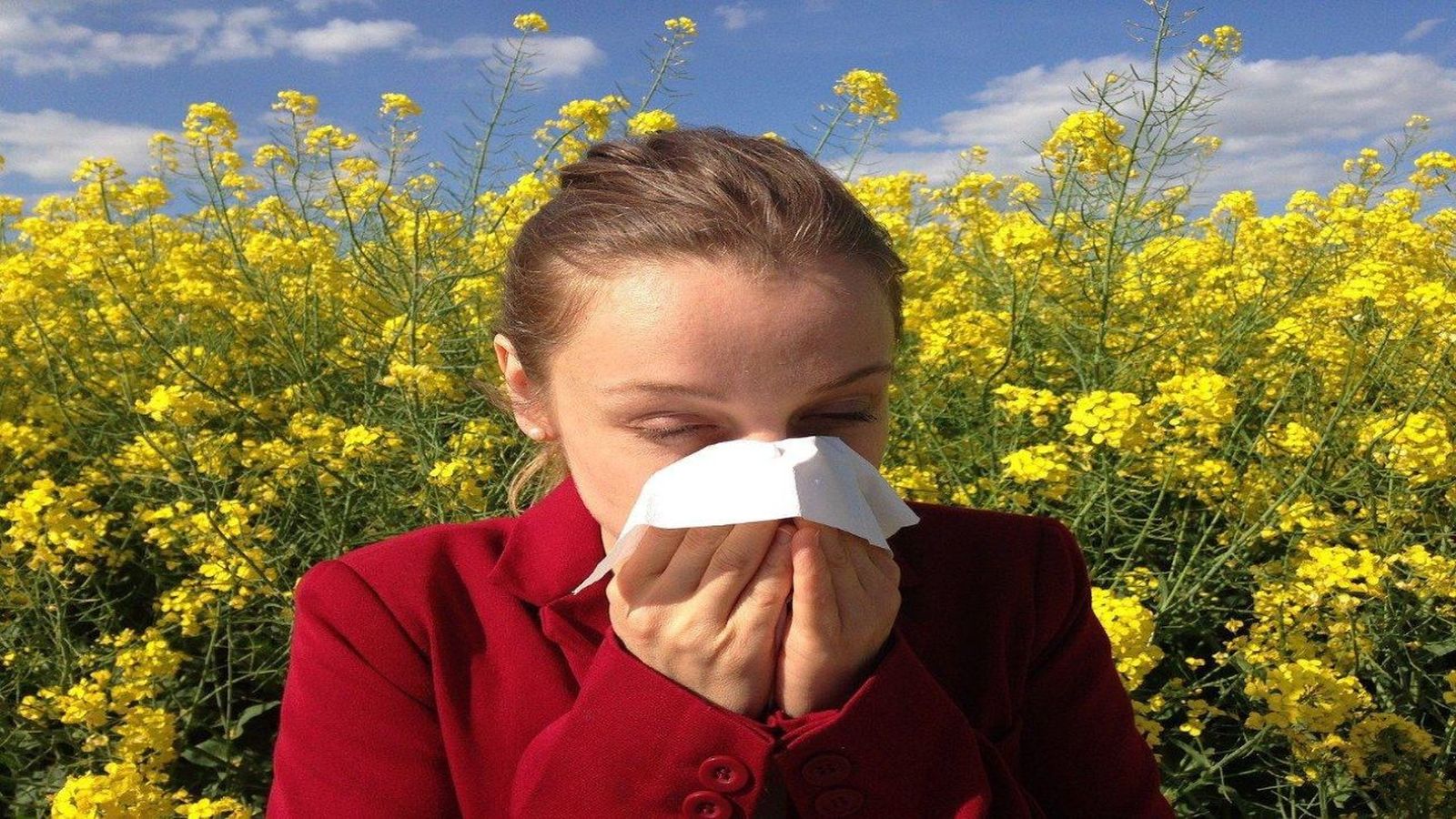 Remedios naturales para reducir los síntomas de la alergia