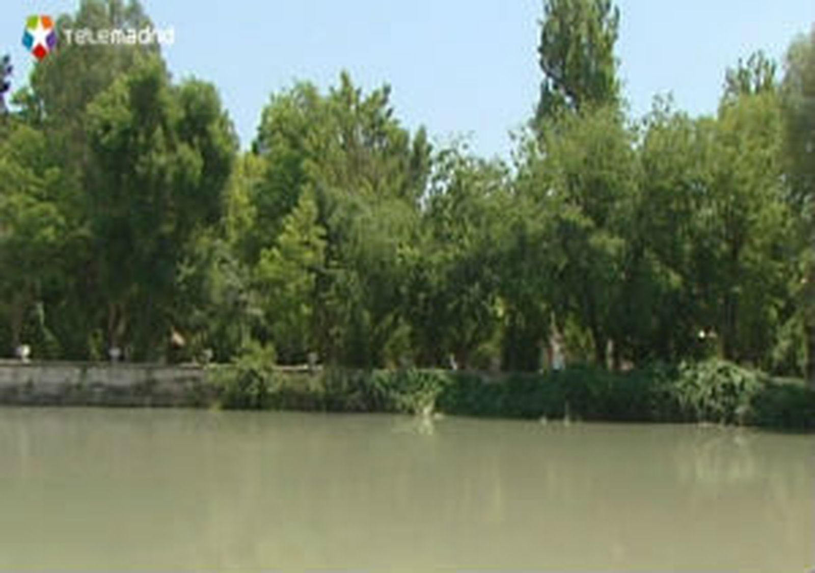 Verano