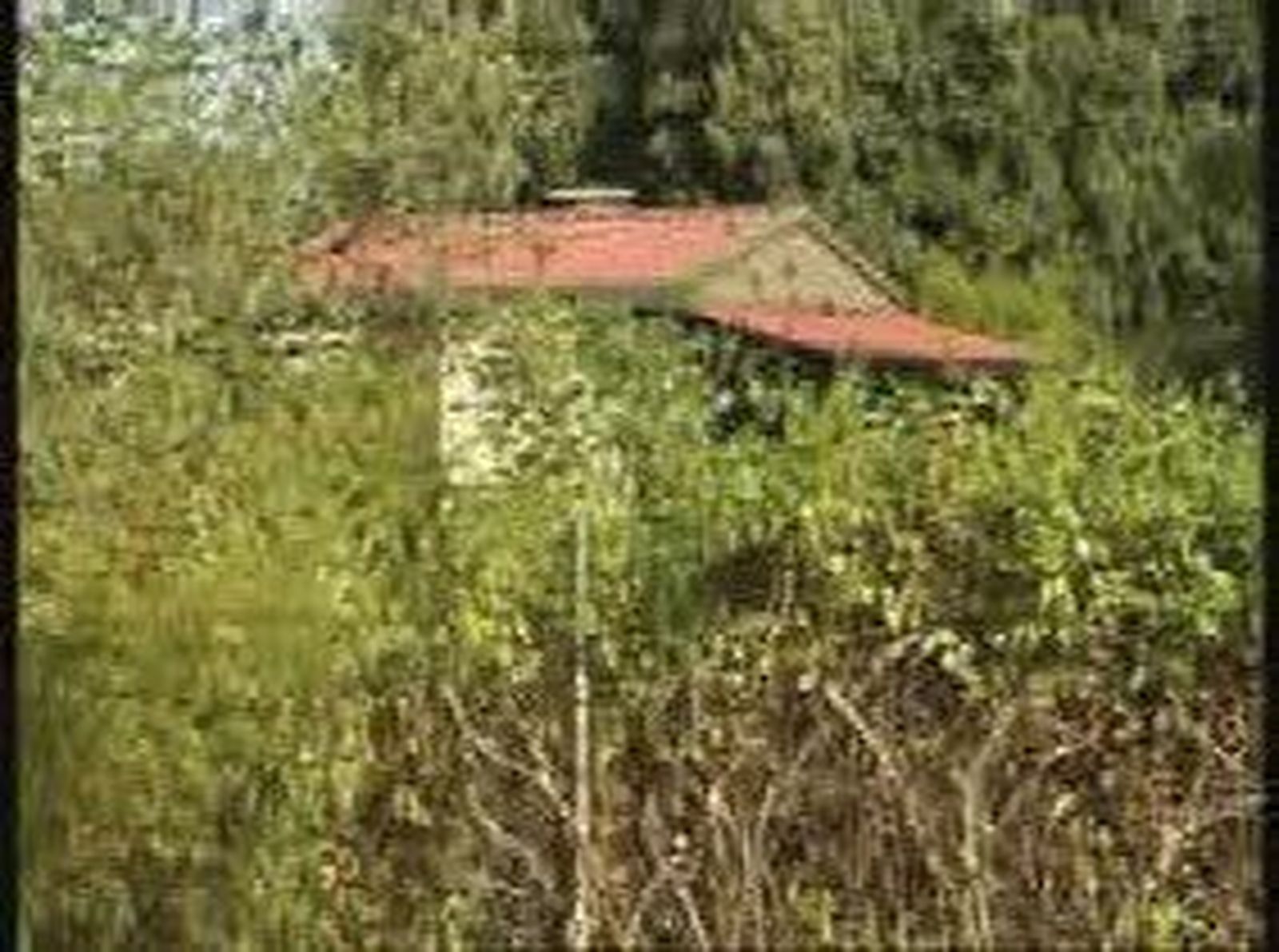 juicio_maltratador_20101022V0.wmv