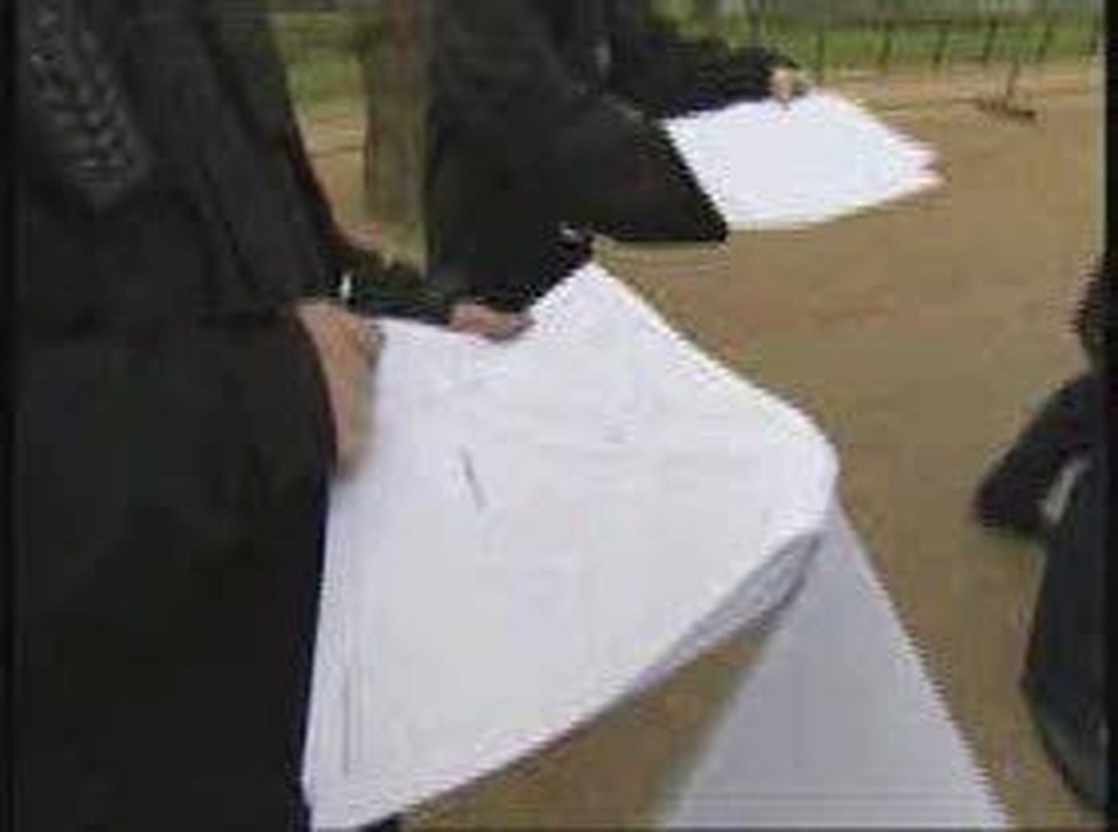 boda_seguridad
