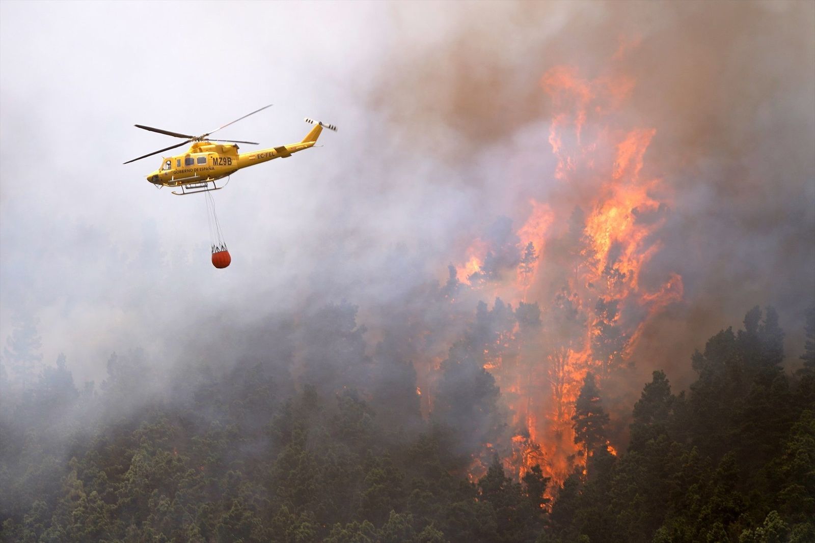 Mejora la situación del incendio de Tenerife pero preocupa que pueda llegar a La Orotava