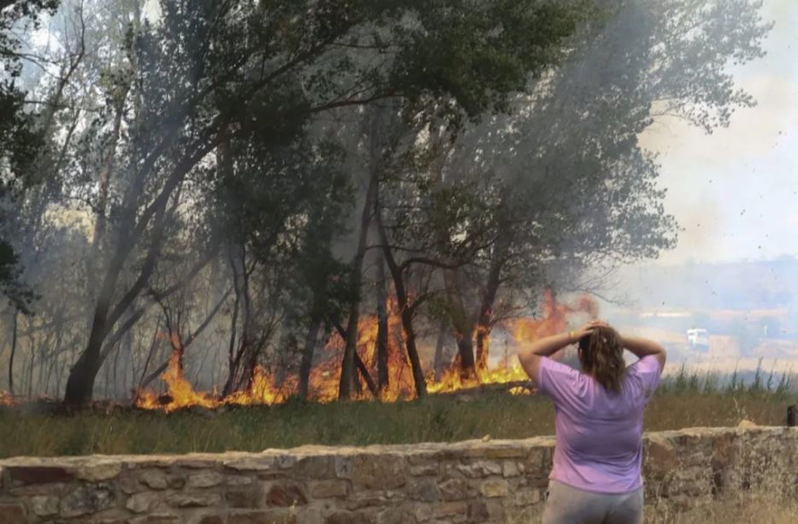 Incendio forestal