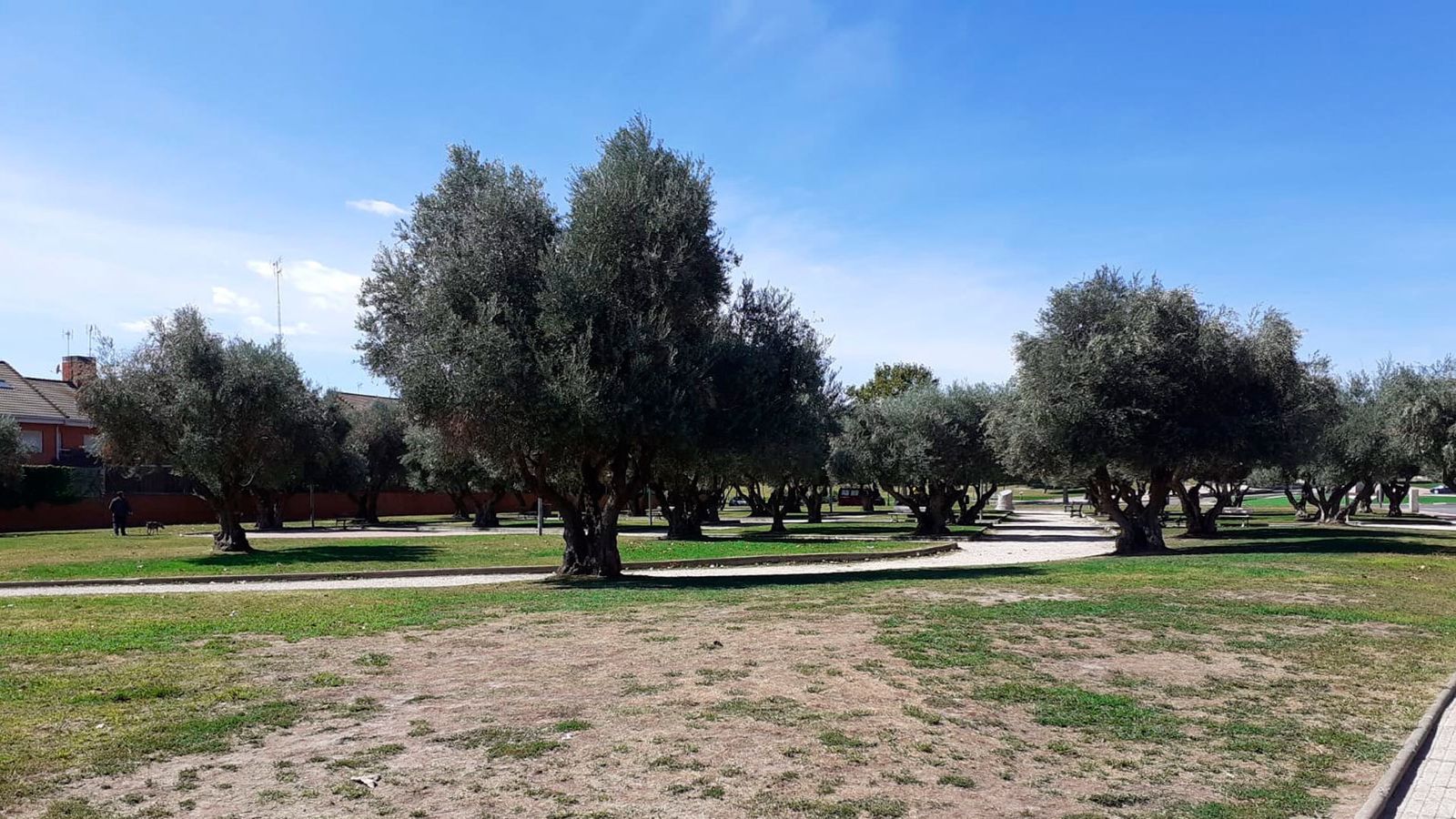Parla inicia un 'plan de choque' con una "desratización intensiva" en la zona de Viario de Ronda