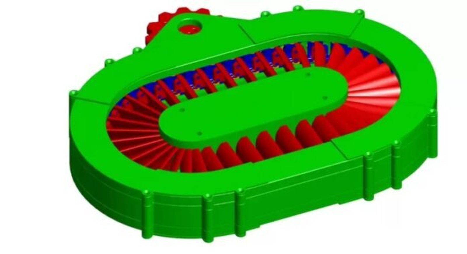 Turbina Oblonga