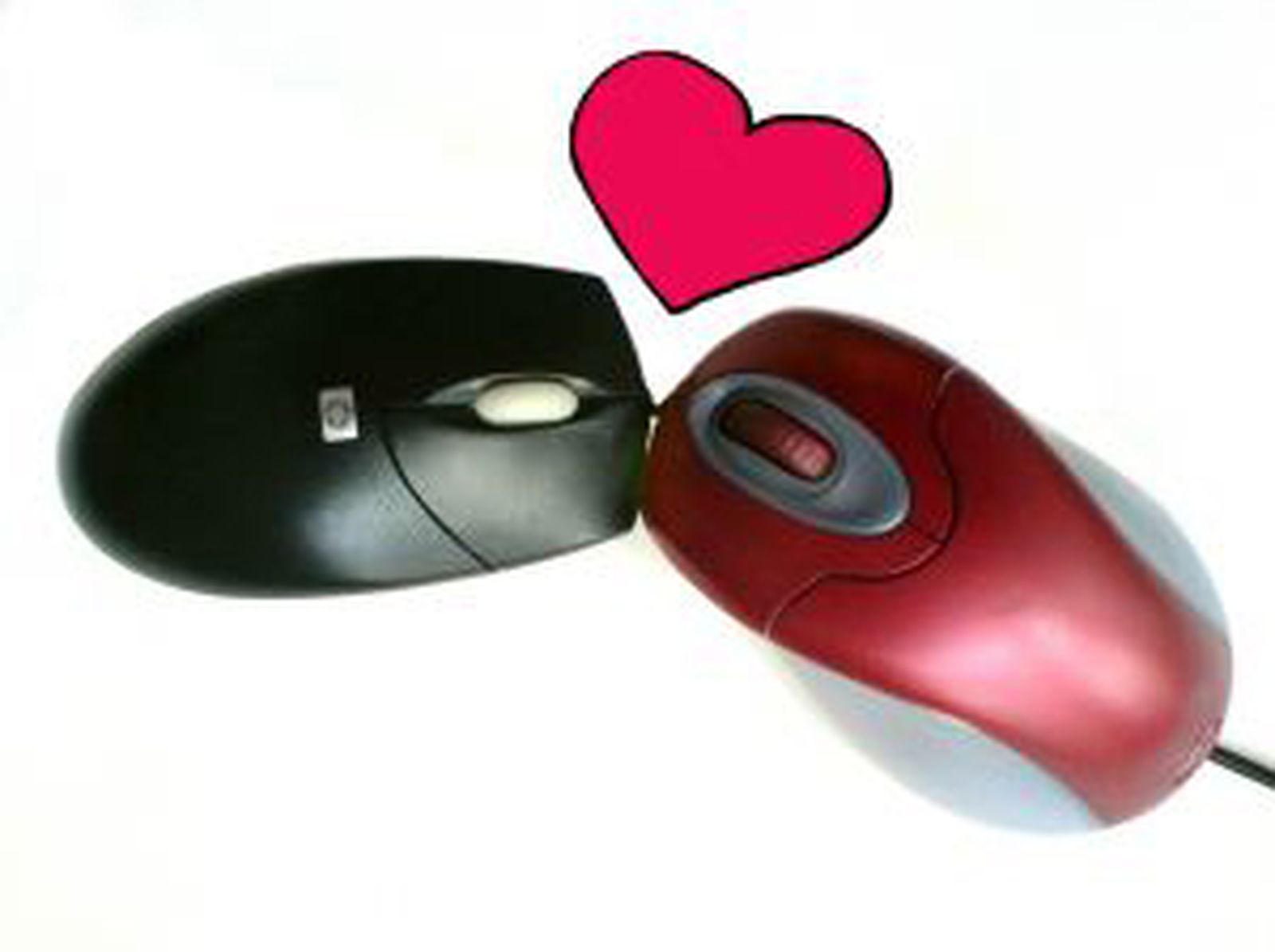 ratones_amor_trabajo_relaciones