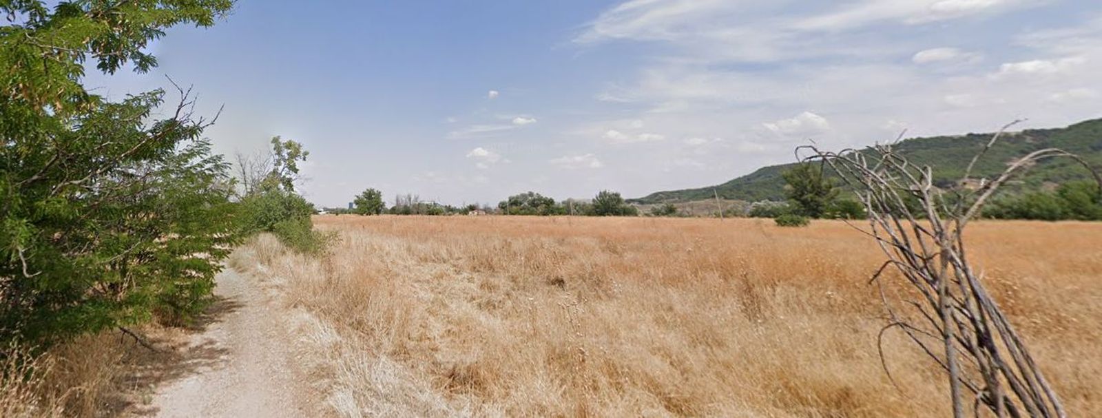 Paisaje del Soto El Espinillo, en Alcalá pero propiedad de Torrejón de Ardoz