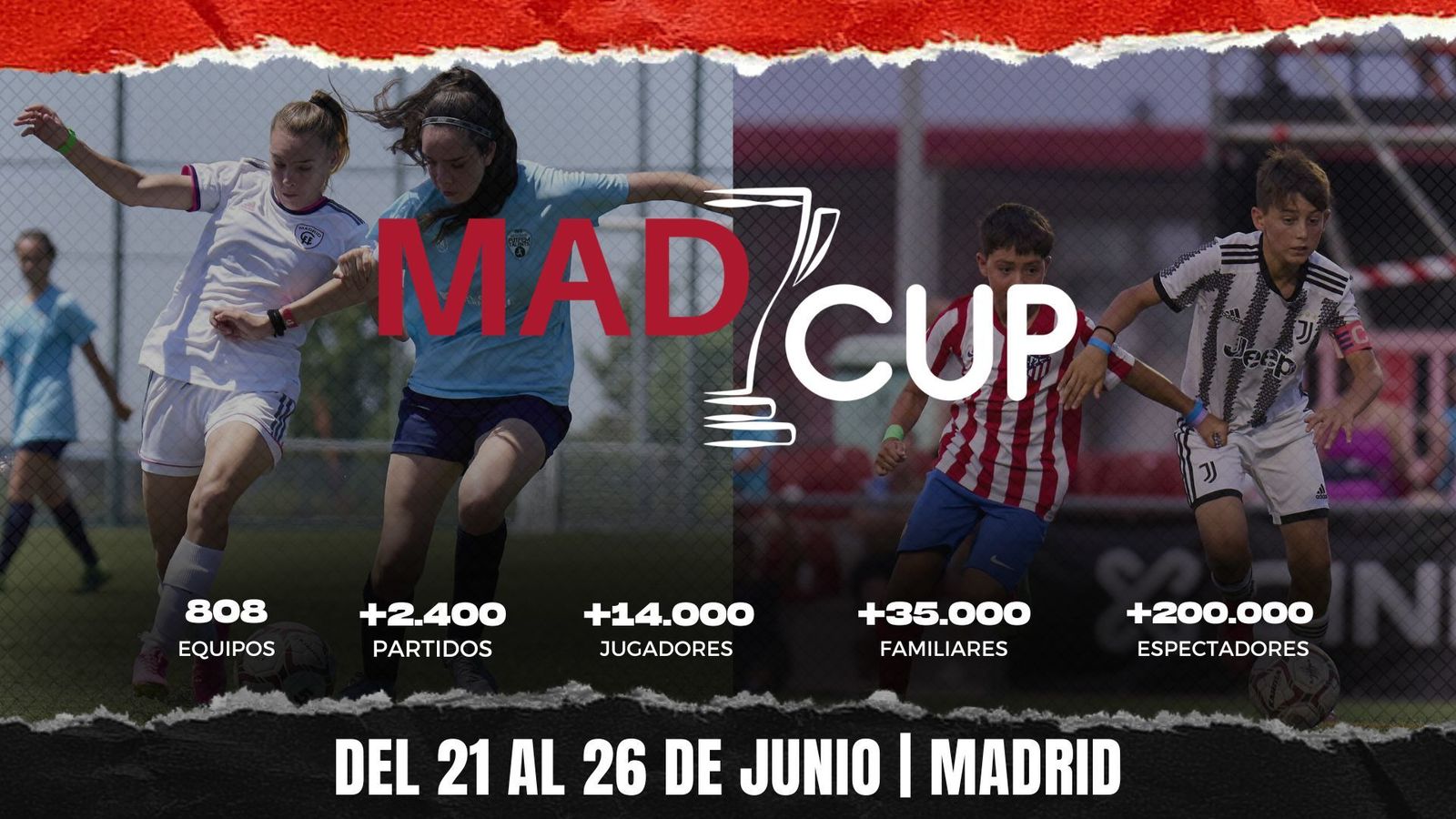 MadCup