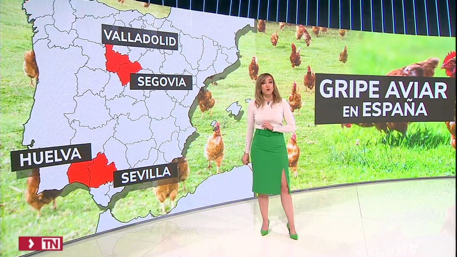 Primer caso de gripe aviar en Madrid