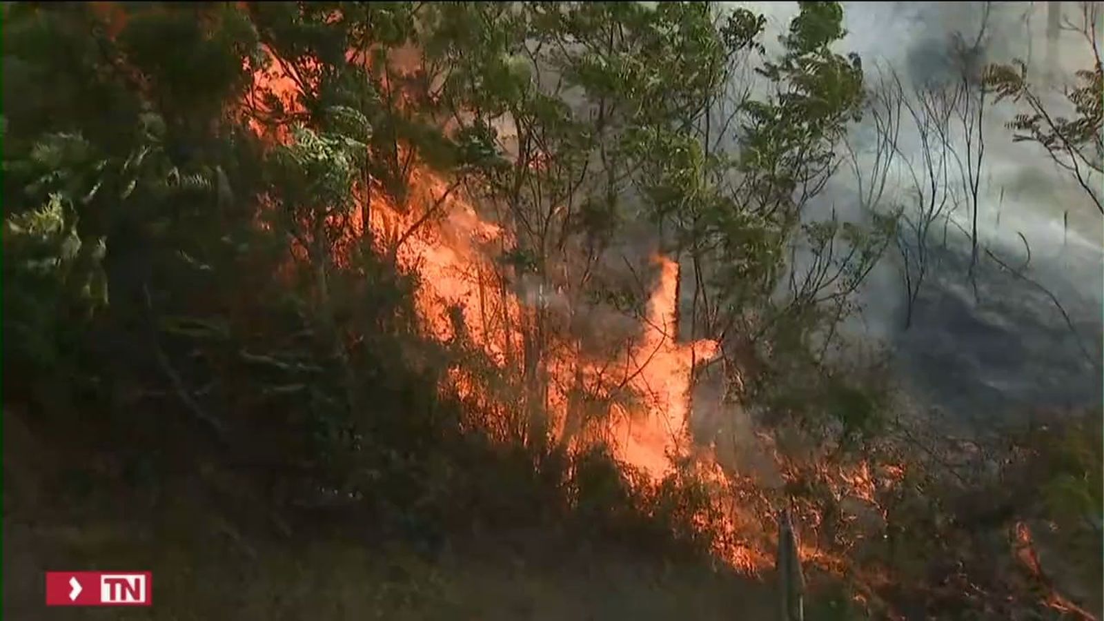 Incendios en España