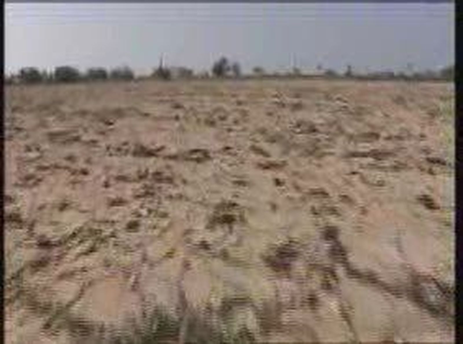 Las lluvias primaverales no paliarán la sequía