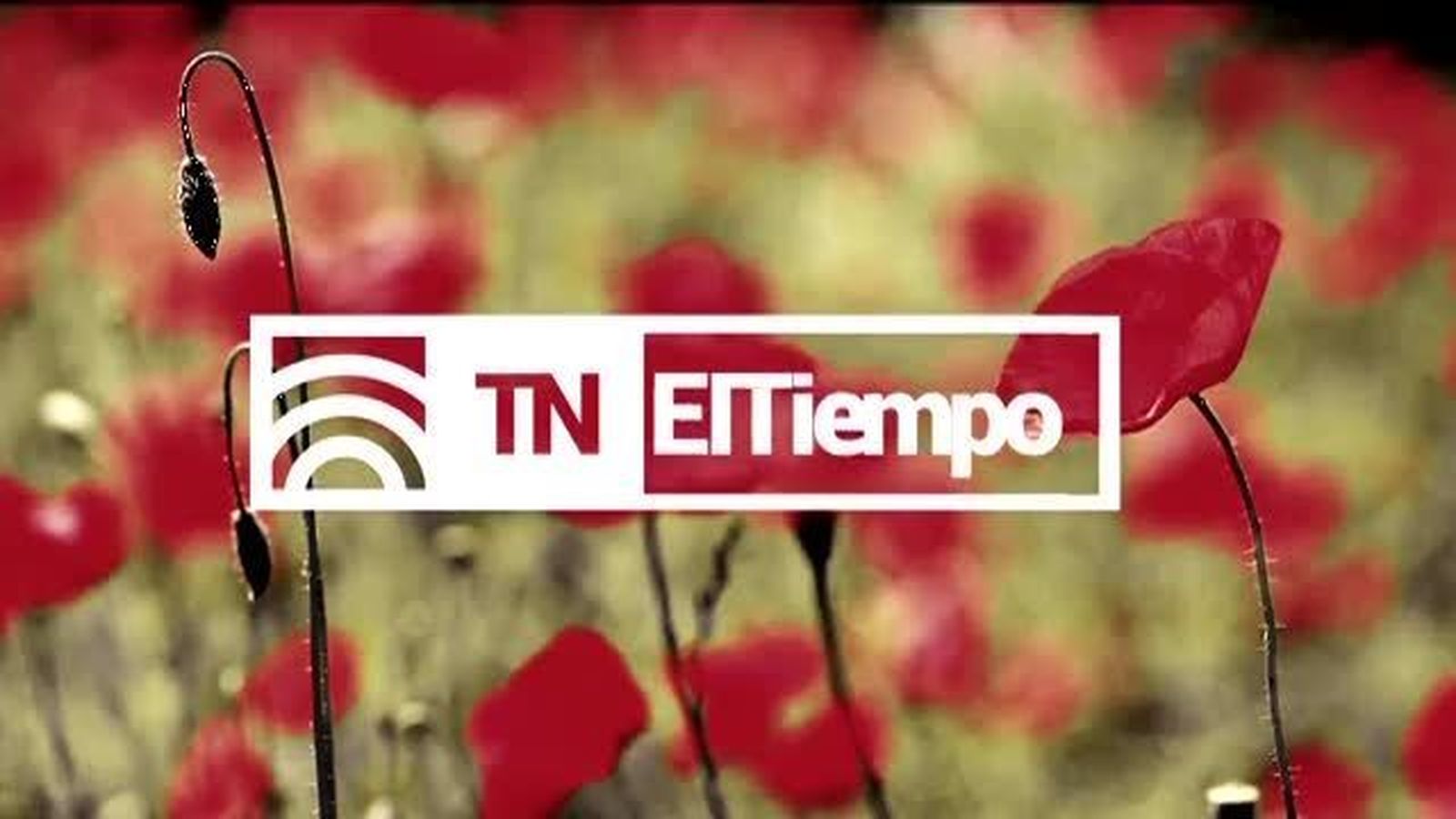 El Tiempo 2 04.12.2017
