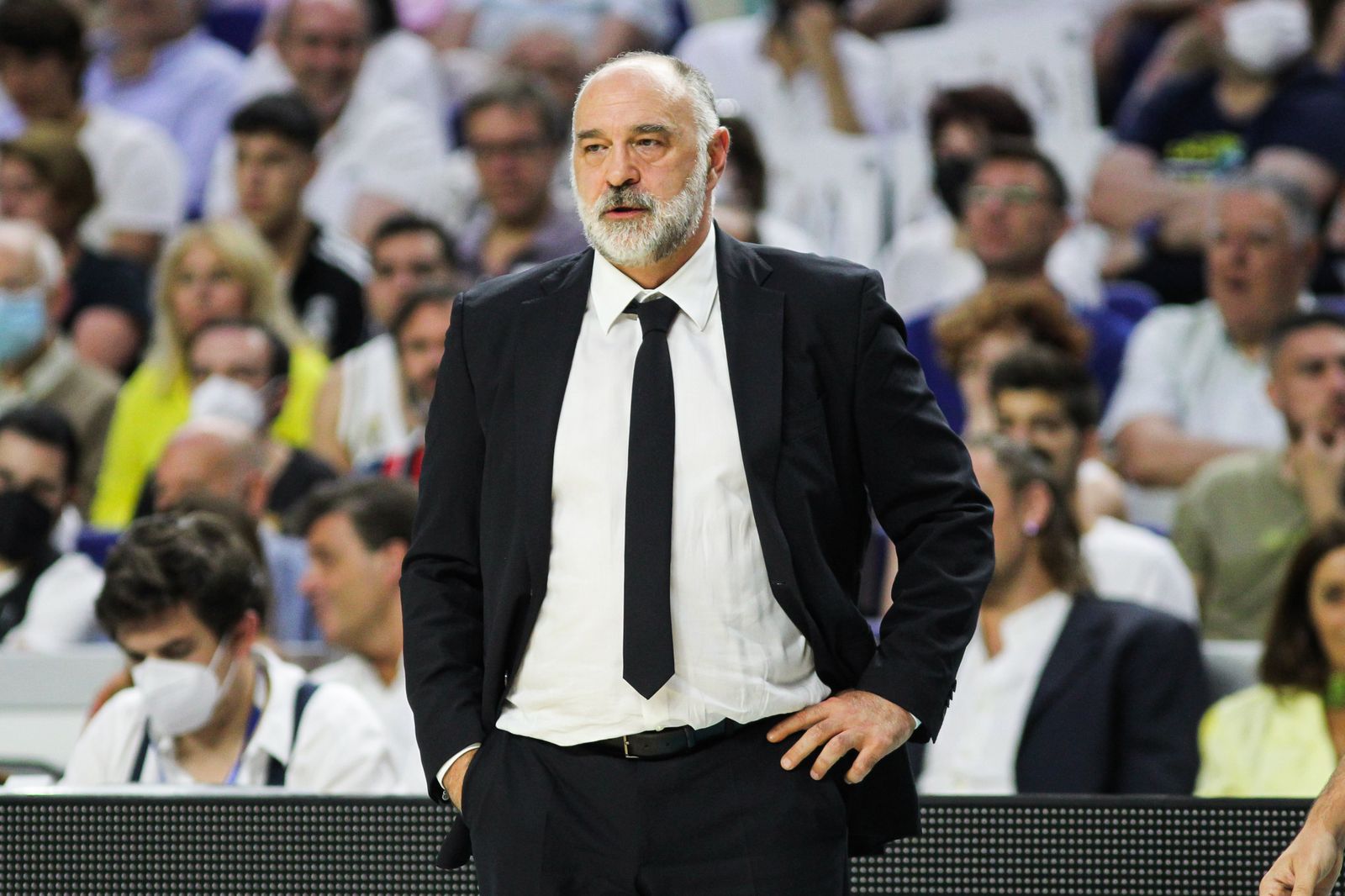 Pablo Laso, entrenador del Real Madrid de baloncesto